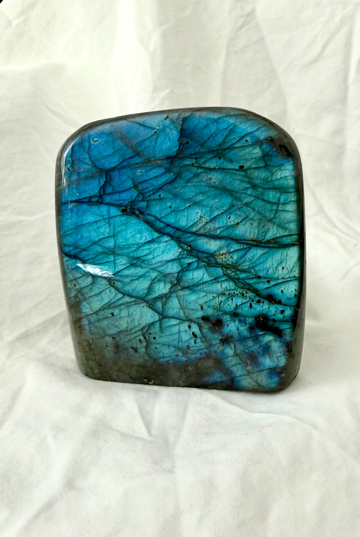 Blue Labradorite crystal with luminous electric blue flash across the polished front face