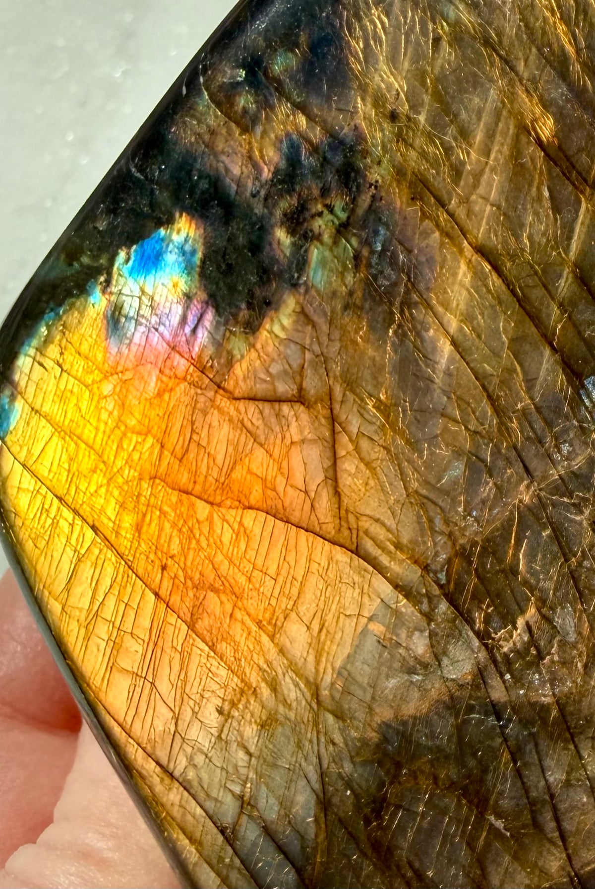 Polished Labradorite freeform with strong orange flash, dark natural patterning and blue labradorescence