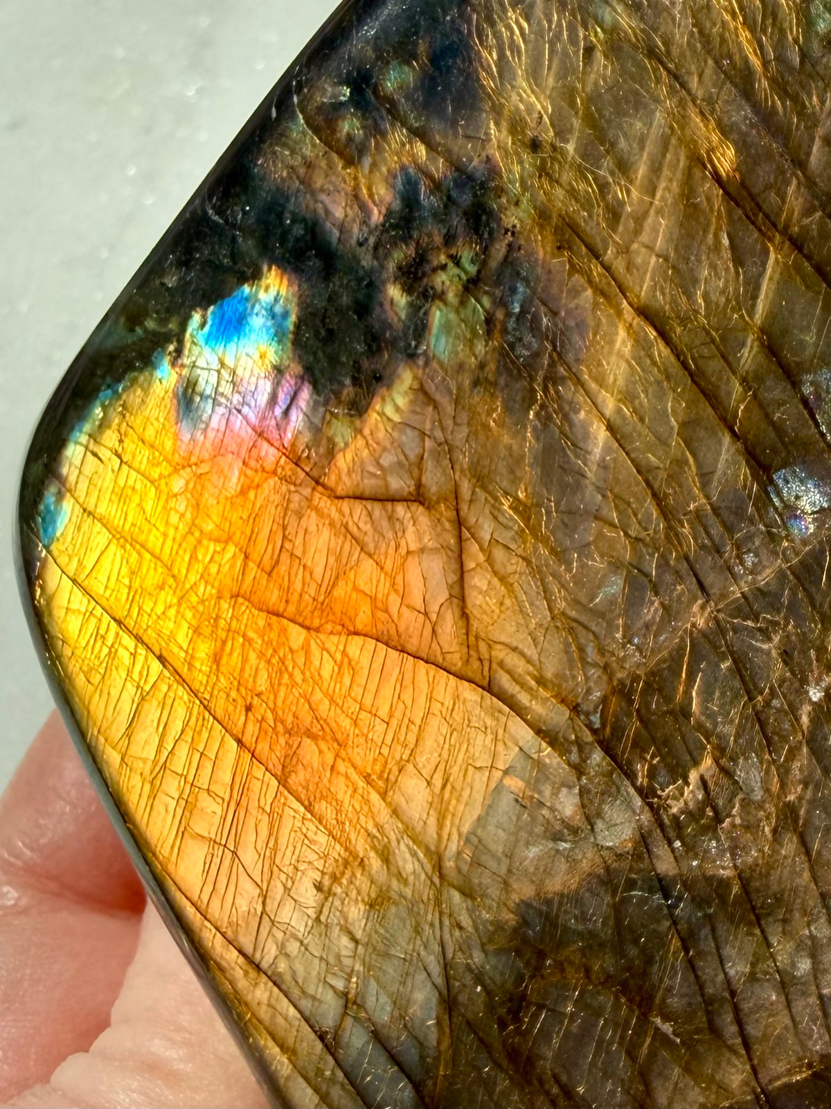 Polished Labradorite freeform with strong orange flash, dark natural patterning and blue labradorescence