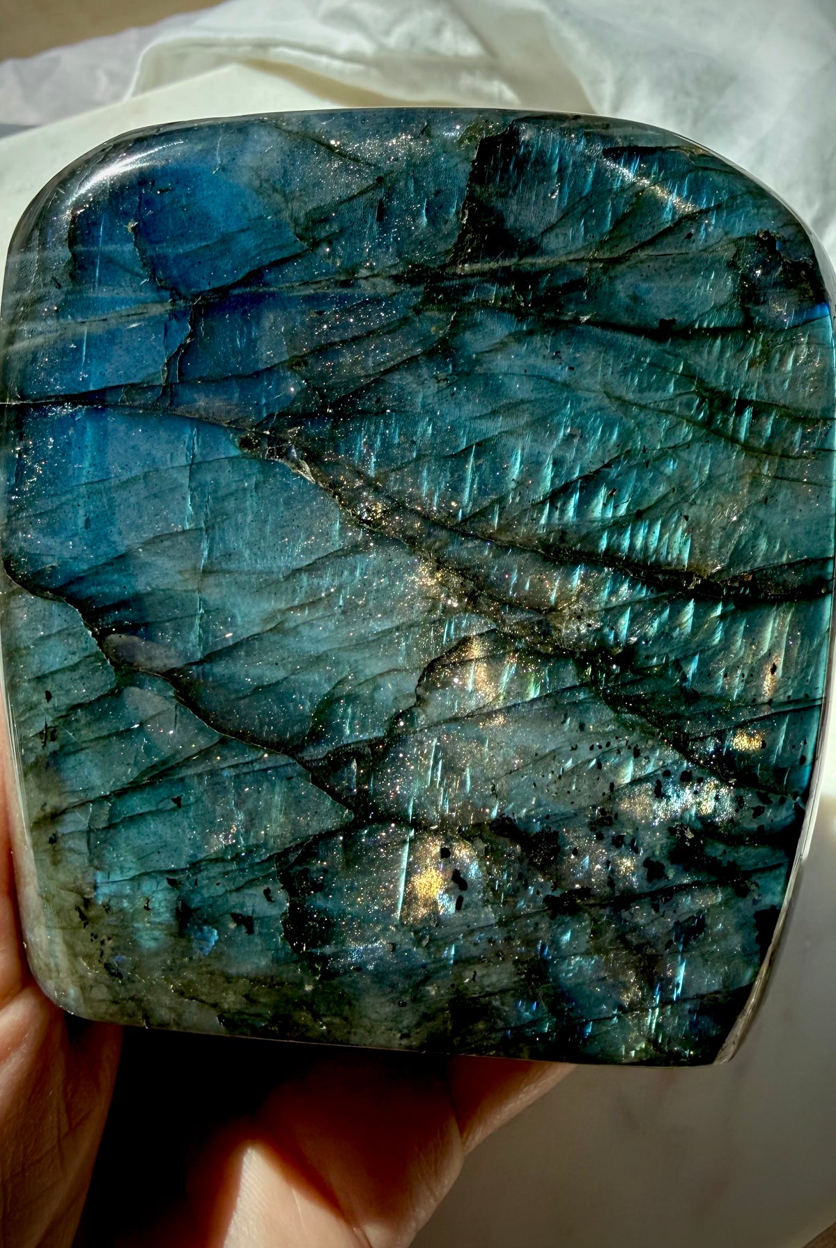 Blue Labradorite freeform showing angle-dependent aqua and electric blue flash in natural light
