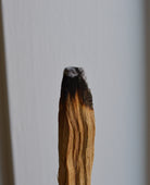 Close-up of burning Palo Santo stick with glowing ember β smudging for sacred rituals and energetic protection