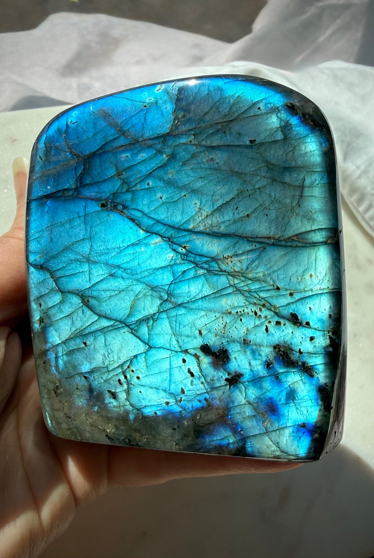 Blue Flash Labradorite freeform held in hand showing its broad polished face and vibrant blue labradorescence