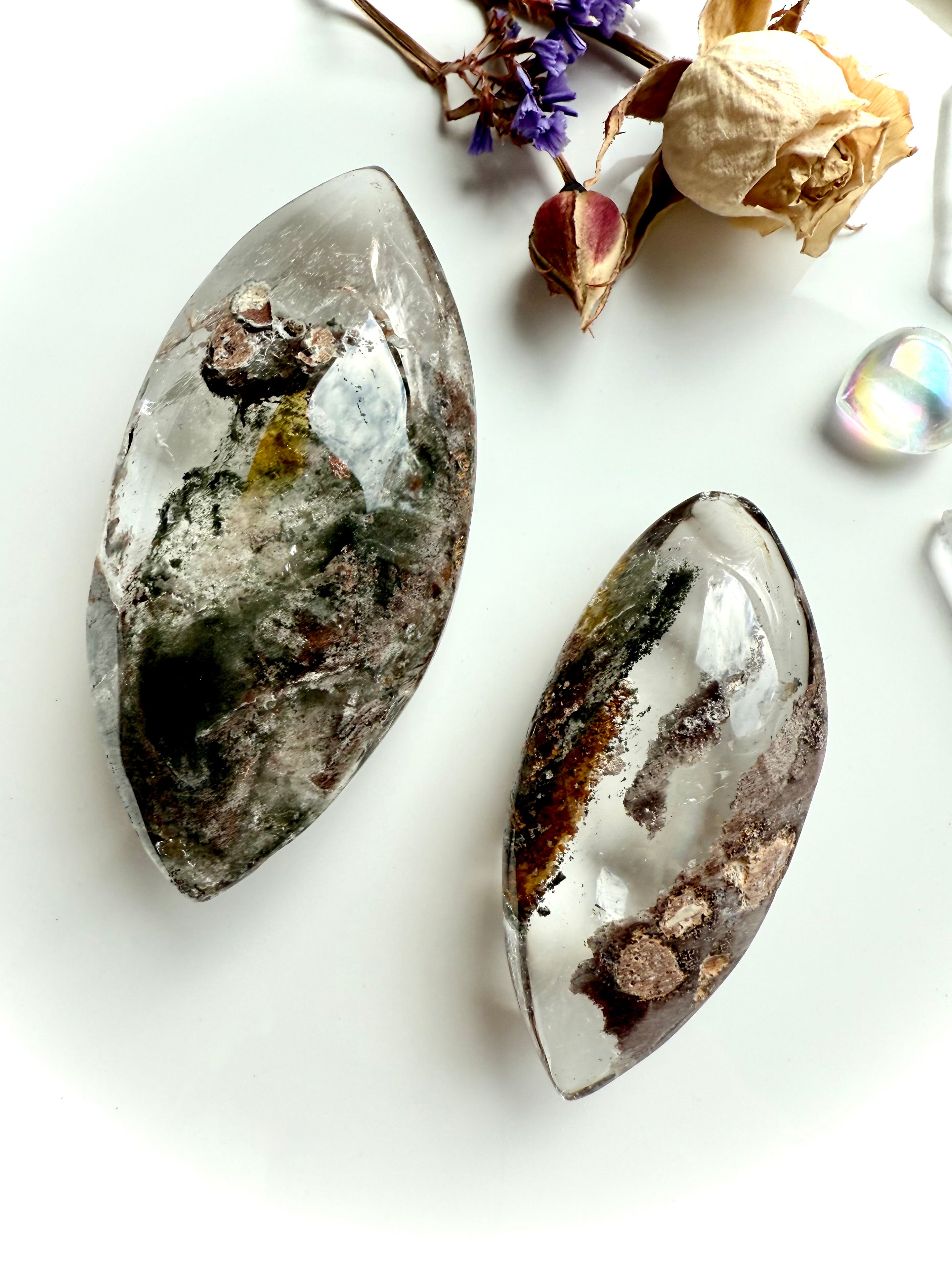 Pair of Garden Quartz crystal lenses with scenic lodolite and golden healer inclusions styled with dried flowers