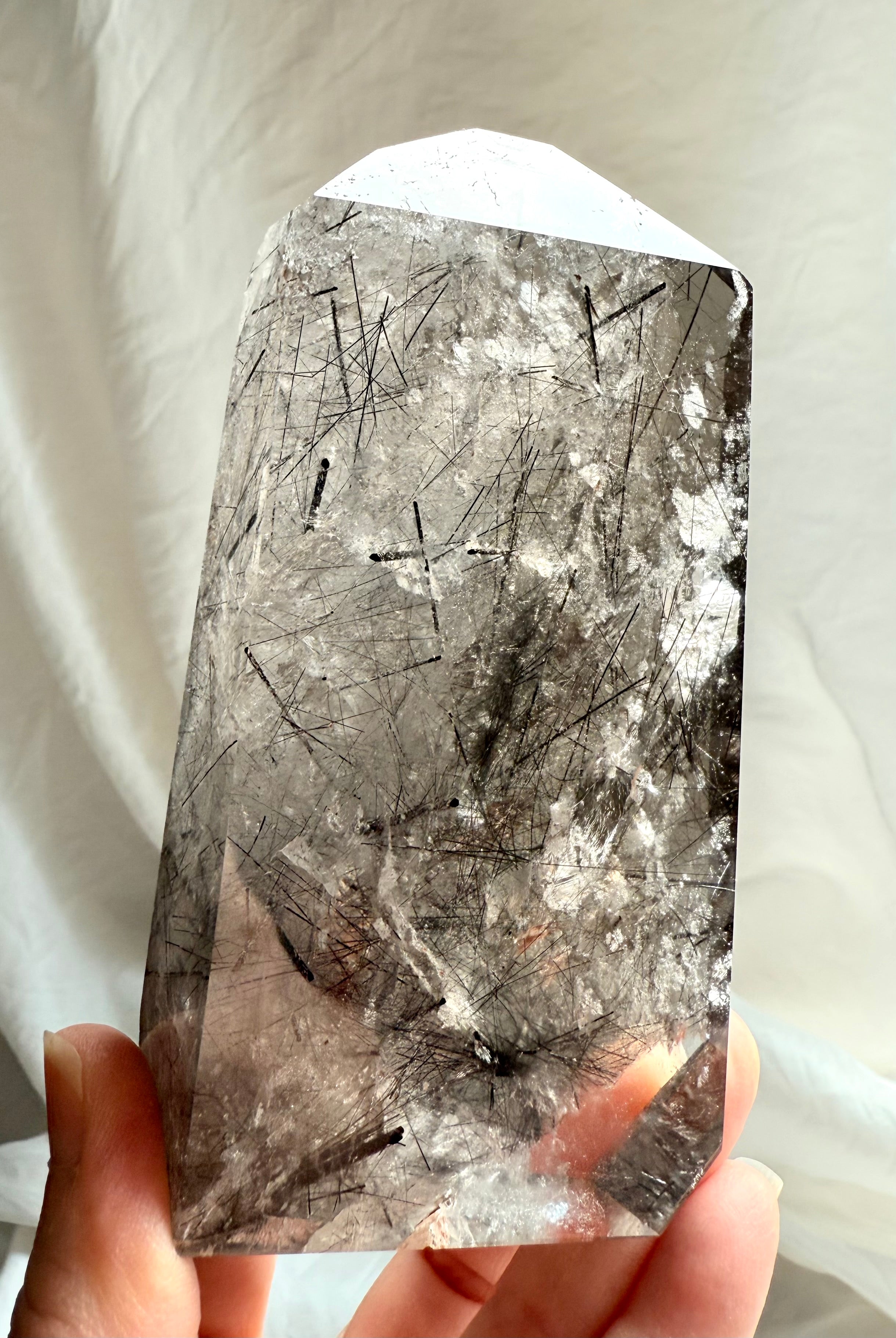 Black Tourmaline in Smoky Quartz tower with unique faceting and shimmering internal formations
