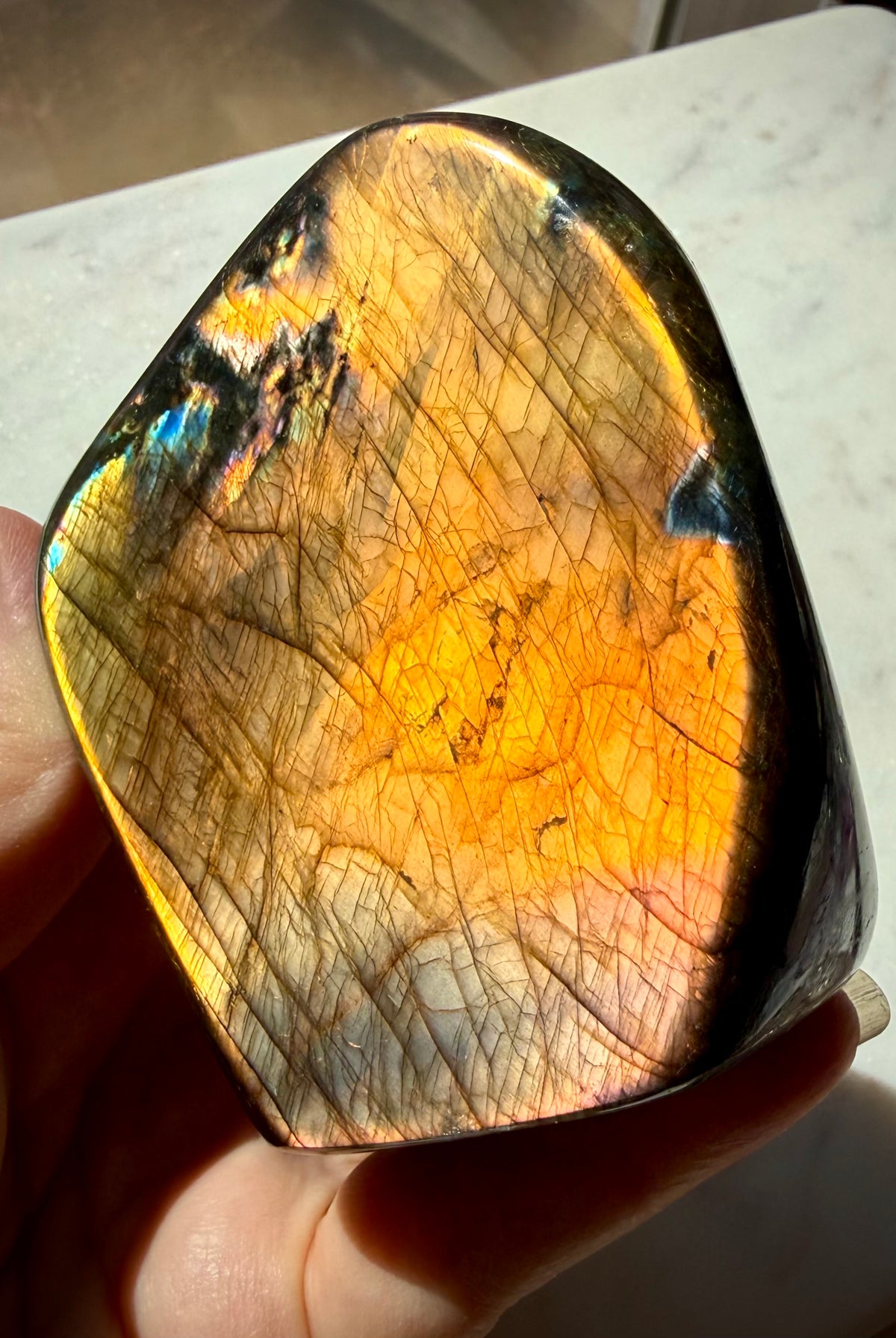 Full flash Labradorite freeform with vivid orange labradorescence across the broad polished face
