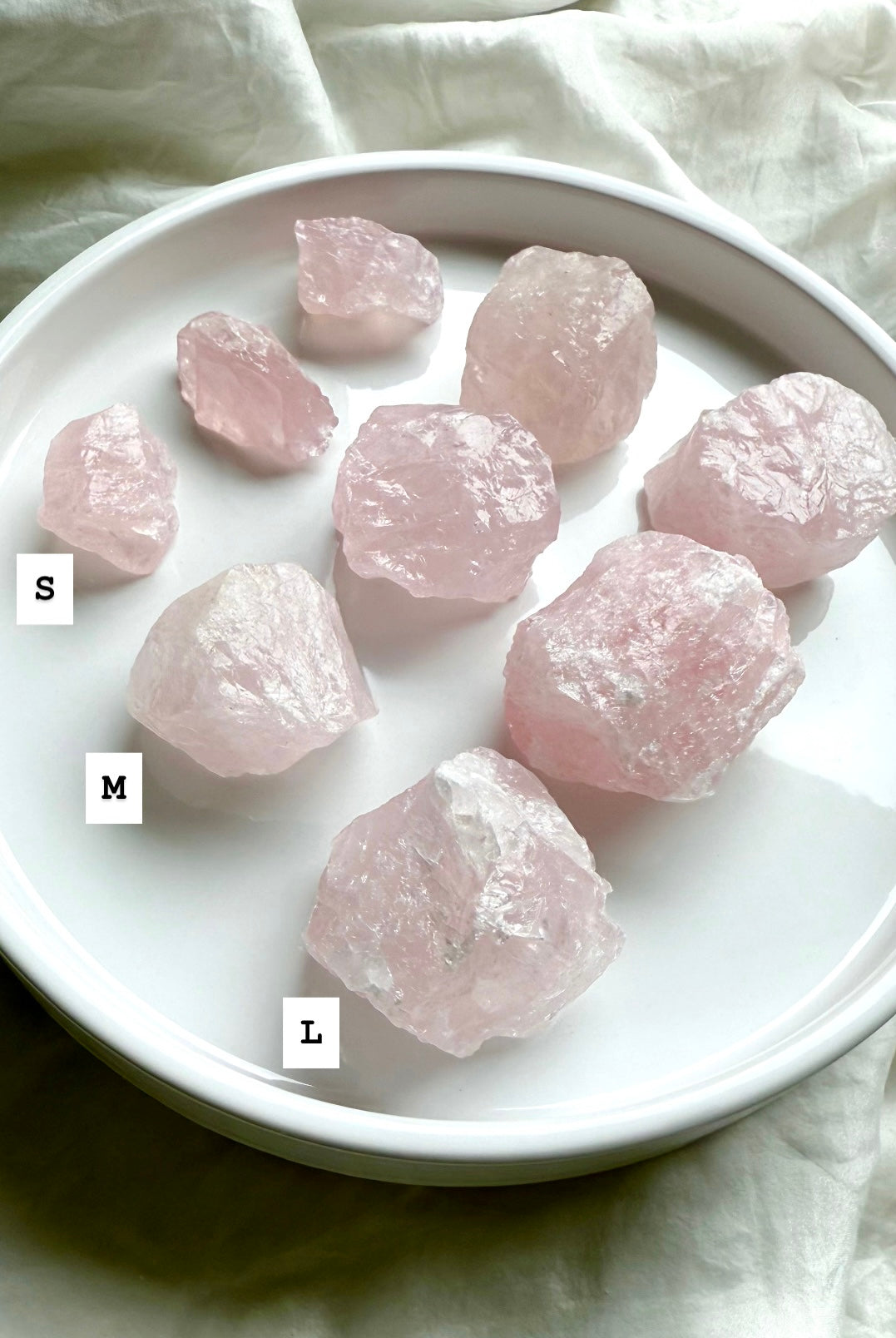 Raw Rose Quartz chunks labeled small, medium, and large, arranged in rows on white plate
