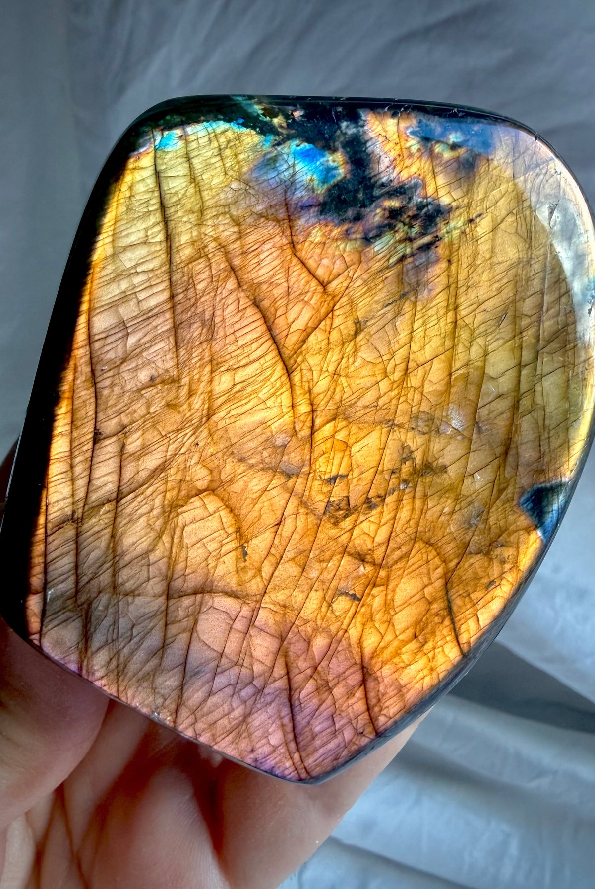 Orange Flash Labradorite freeform with vivid coppery orange full-face labradorescence and purple accents