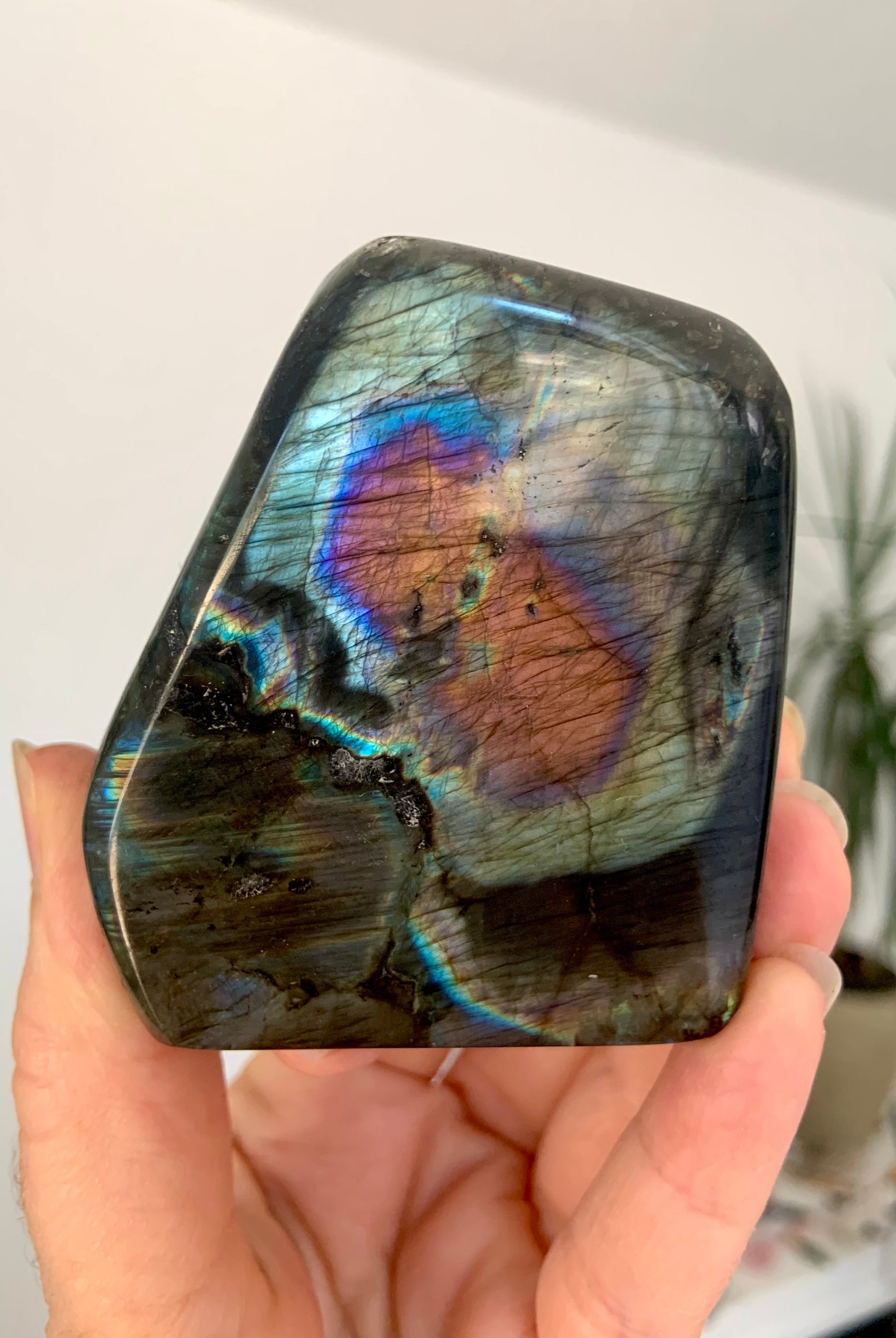 Rare Rainbow Labradorite Freeform with bullseye pattern. Polished with stunning colors, this labradorite crystal makes a beautiful addition to your crystal collection + a great gift for any crystal lover.