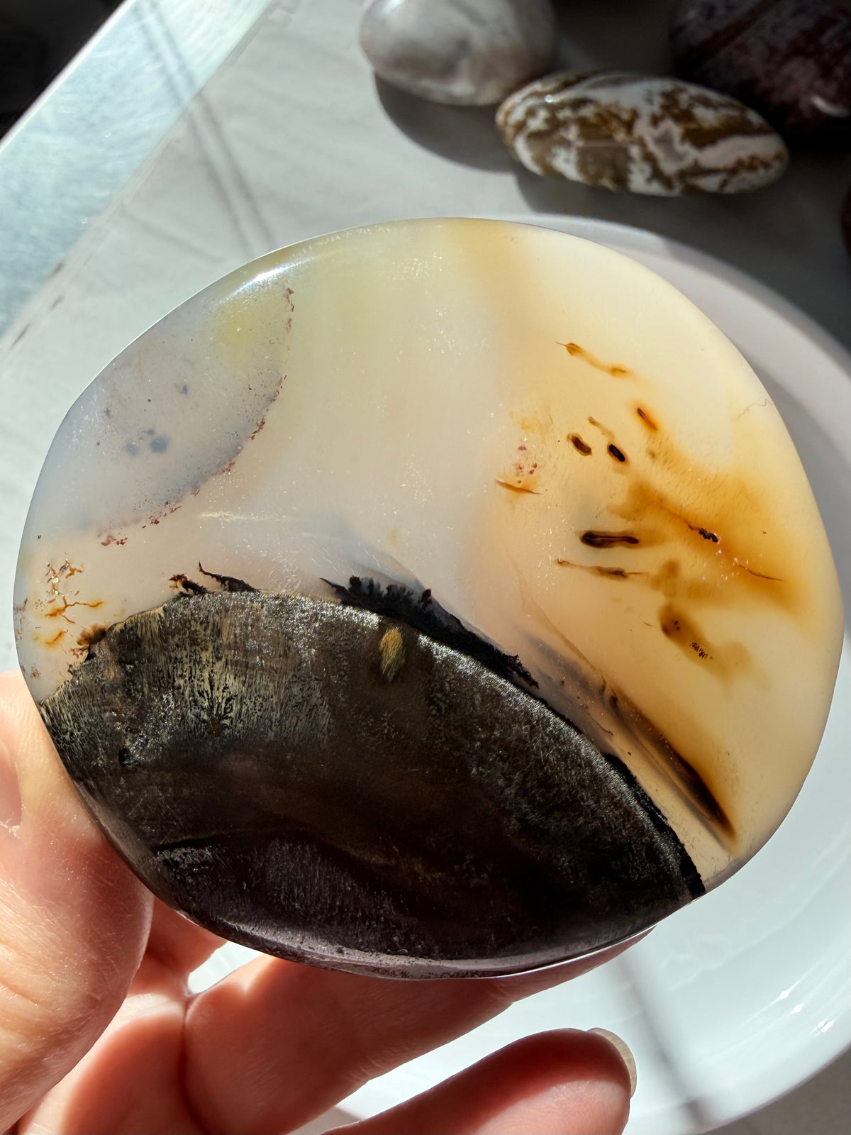 Natural Dendritic Agate freeform showing translucent golden Agate, dark mineral inclusions and earthy landscape patterns