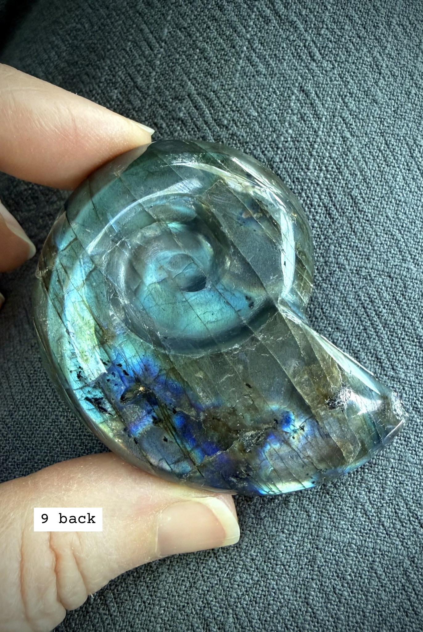 labradorite shell carving # 9 back view polished labradorite shell with natural variation and sheen