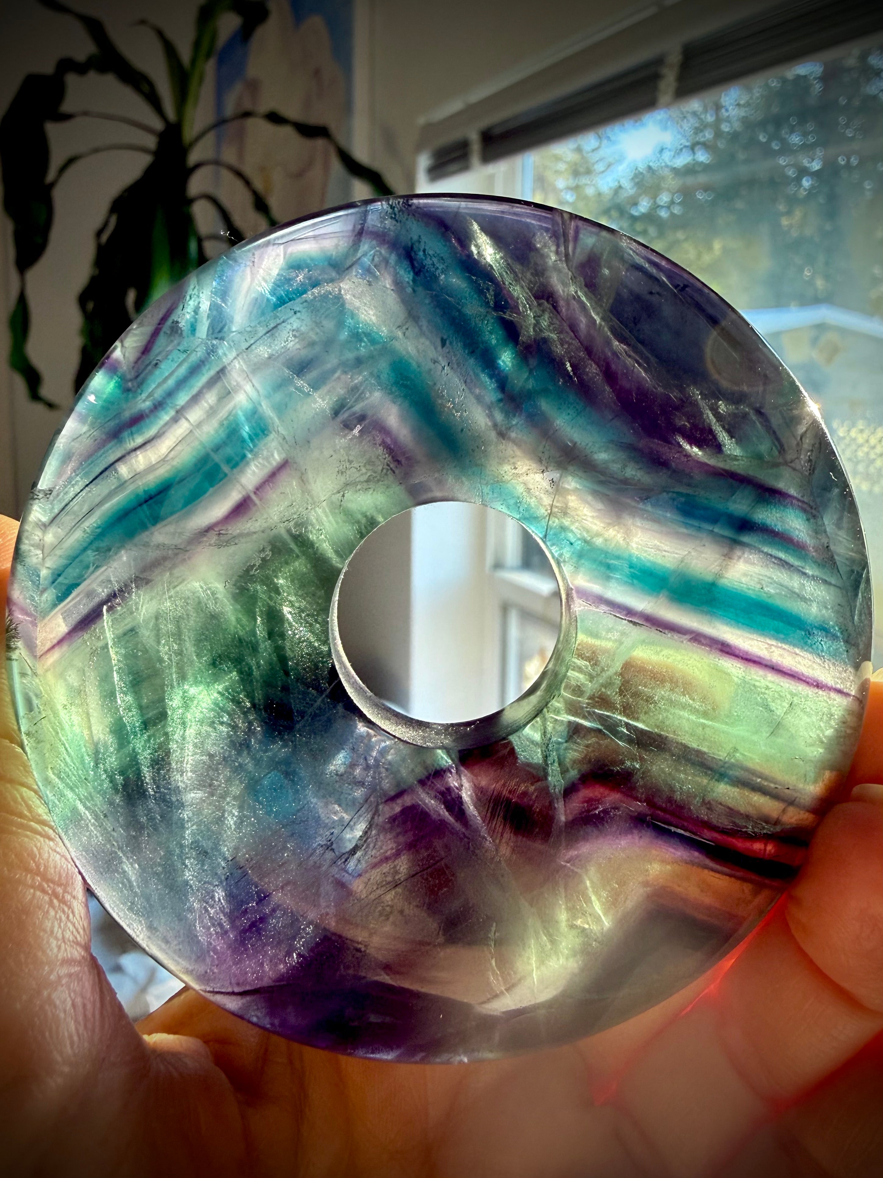 Rainbow fluorite peace buckle donut showing teal green and purple banding