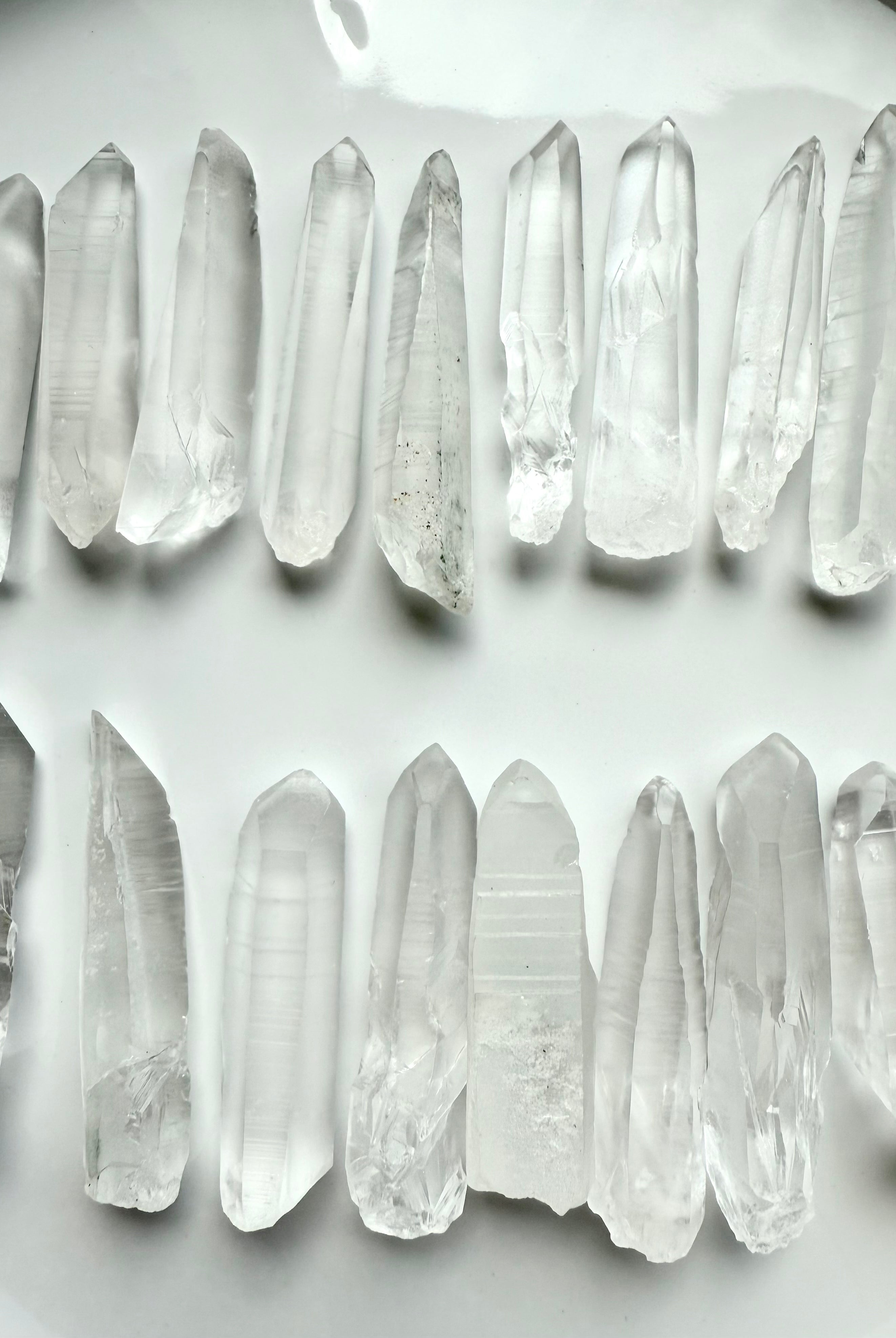 Two rows of Lemurian Seed Quartz Points on a white background showing clarity, striations & natural variety — powerful tools for spiritual awakening