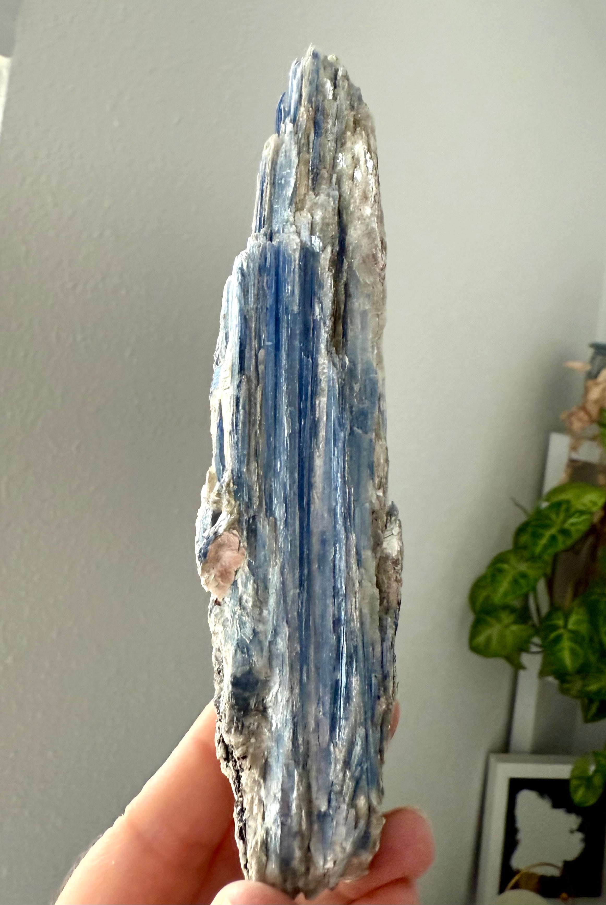 Raw blue kyanite and muscovite specimen showing natural mineral formation and silvery reflective inclusions