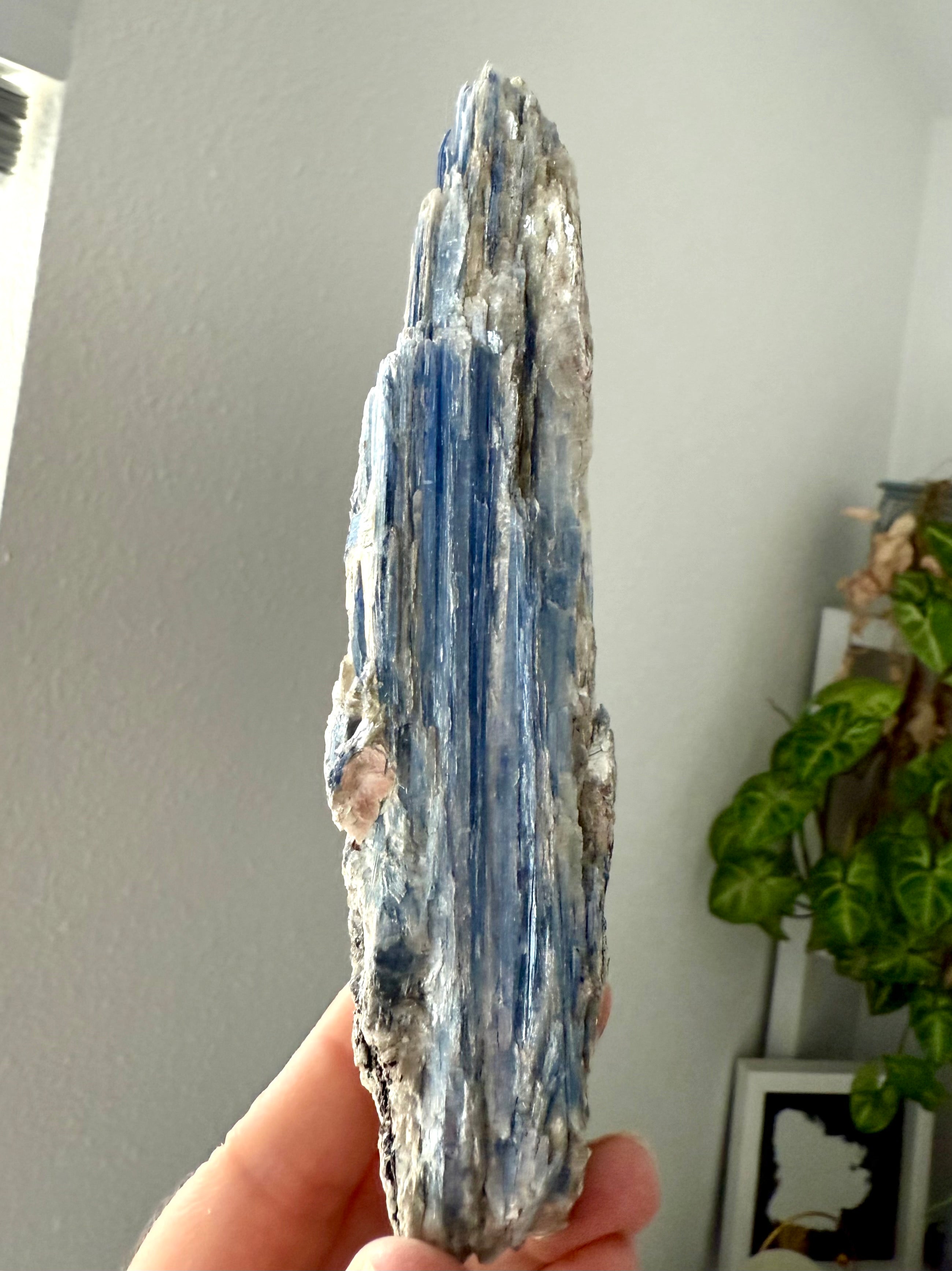 Raw blue kyanite and muscovite specimen showing natural mineral formation and silvery reflective inclusions