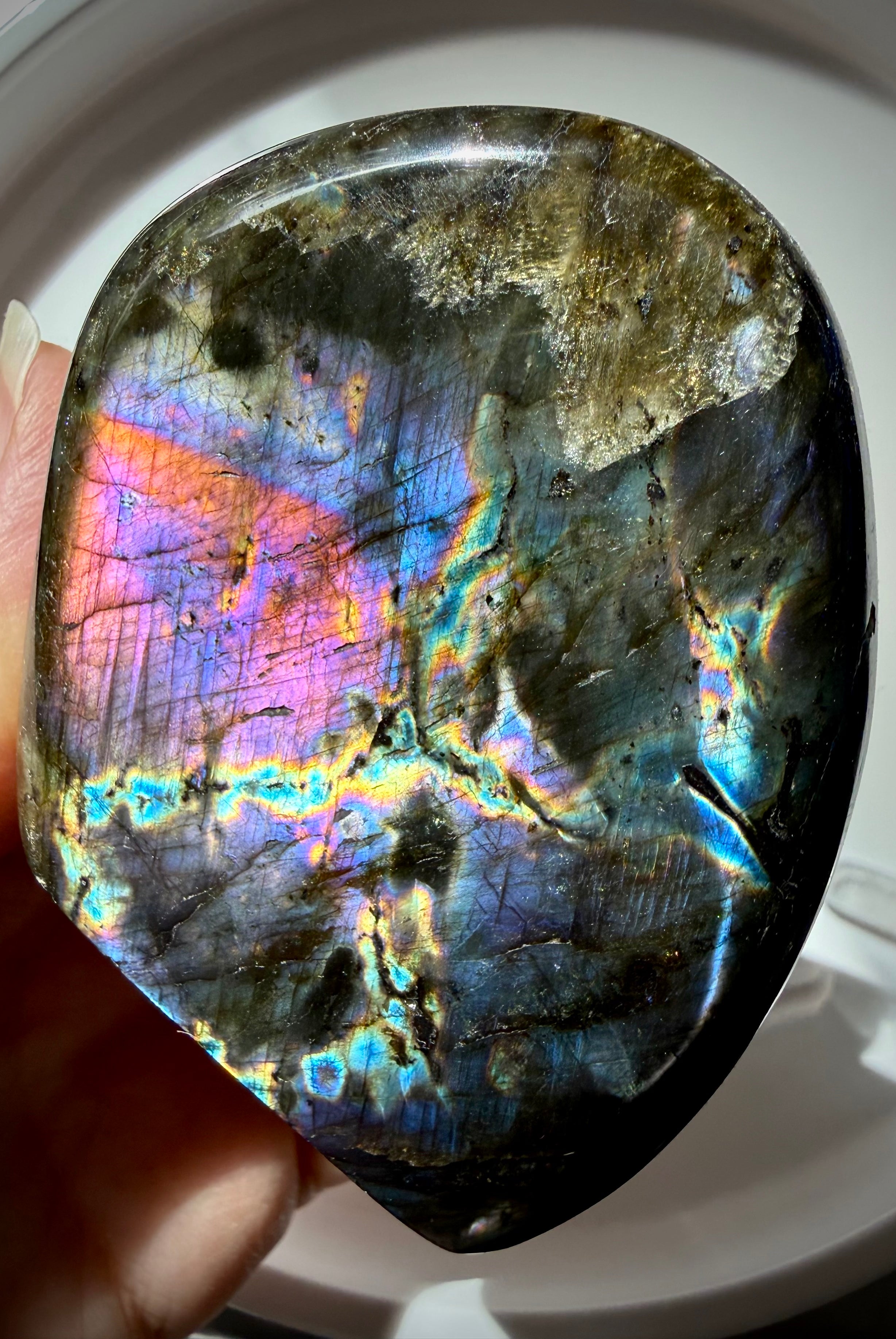 Polished Labradorite freeform with vibrant rainbow flash and natural dark matrix