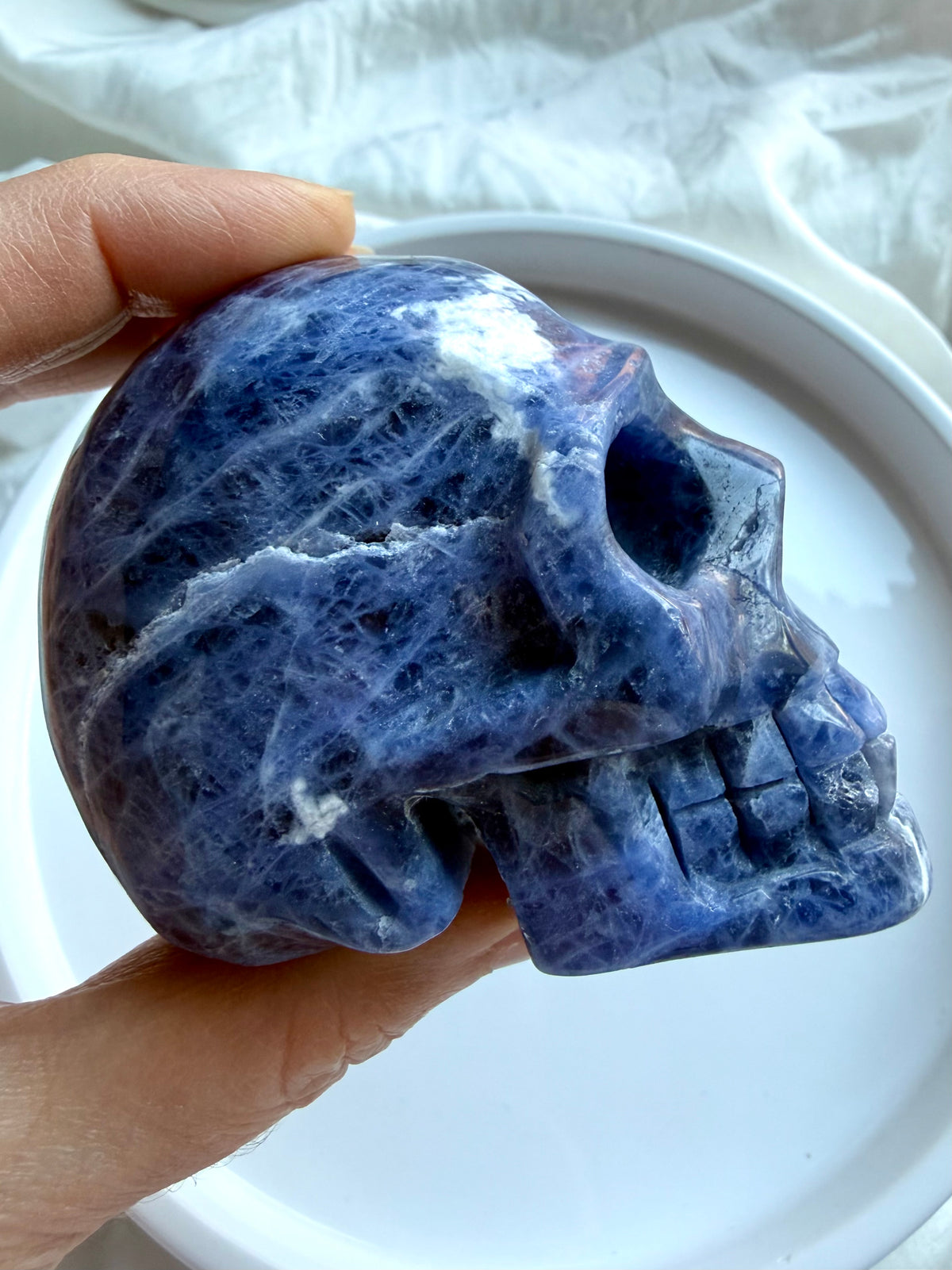 Natural Sodalite crystal skull side view with deep blue color and contrasting white mineral veining