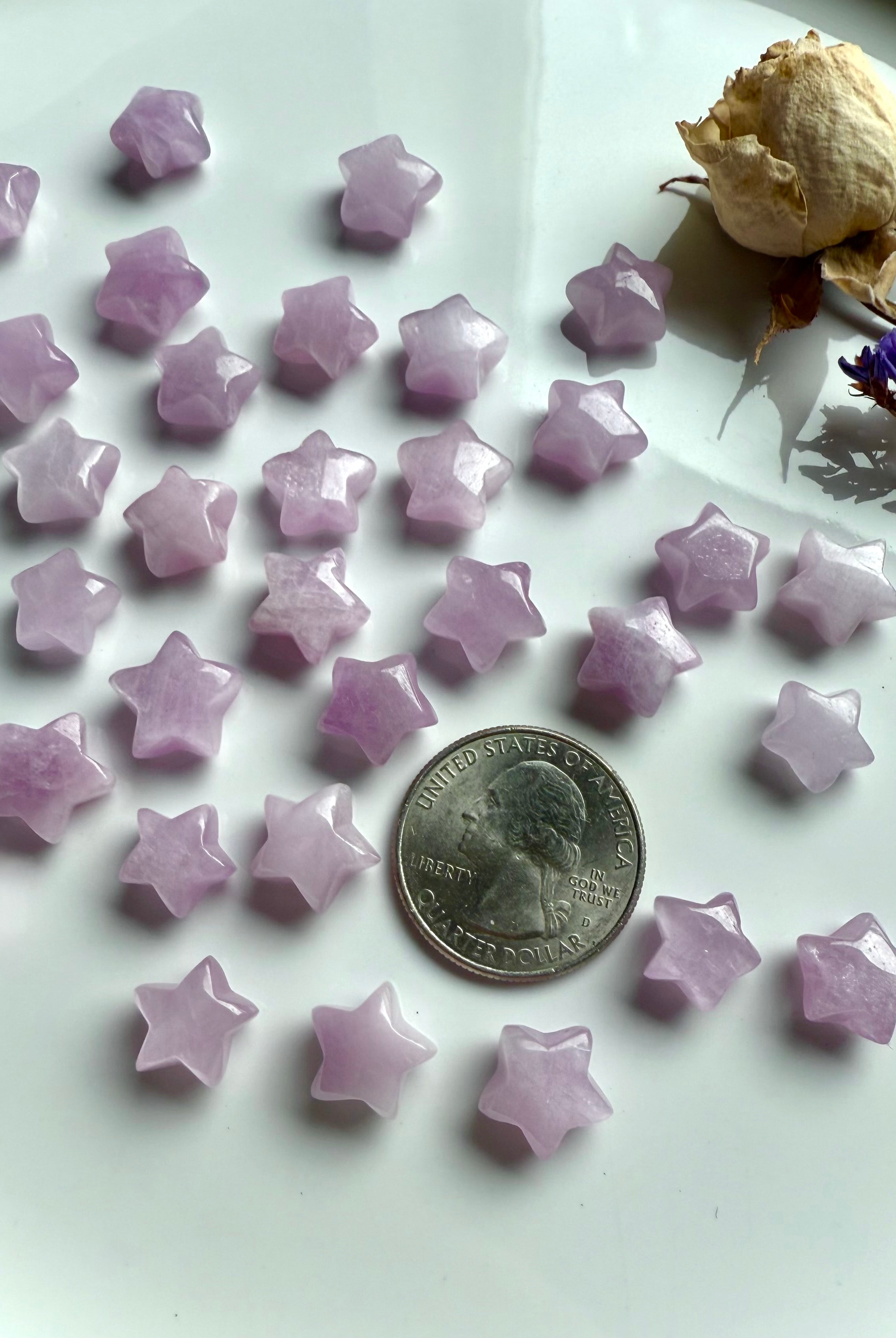 Kunzite star carvings with a U.S. quarter for scale — tiny celestial crystals ideal for gridding, jewelry, or gifting.