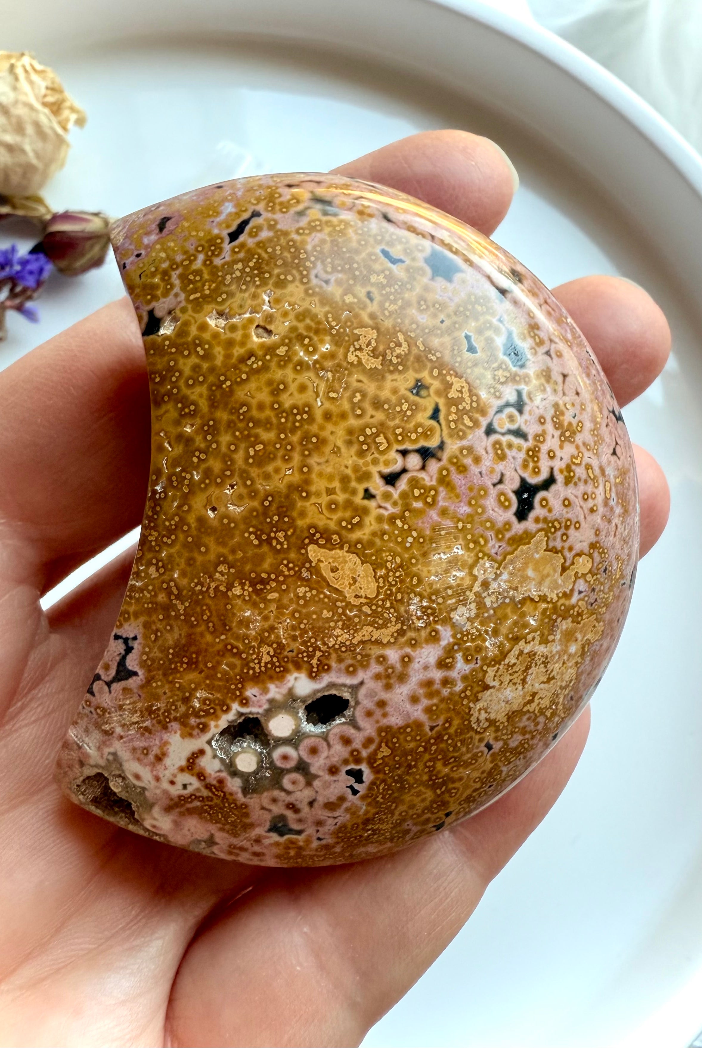 peachy yellow ocean jasper moon with detailed orbicular markings displayed in hand, a nurturing crystal for emotional healing and heart-centered support
