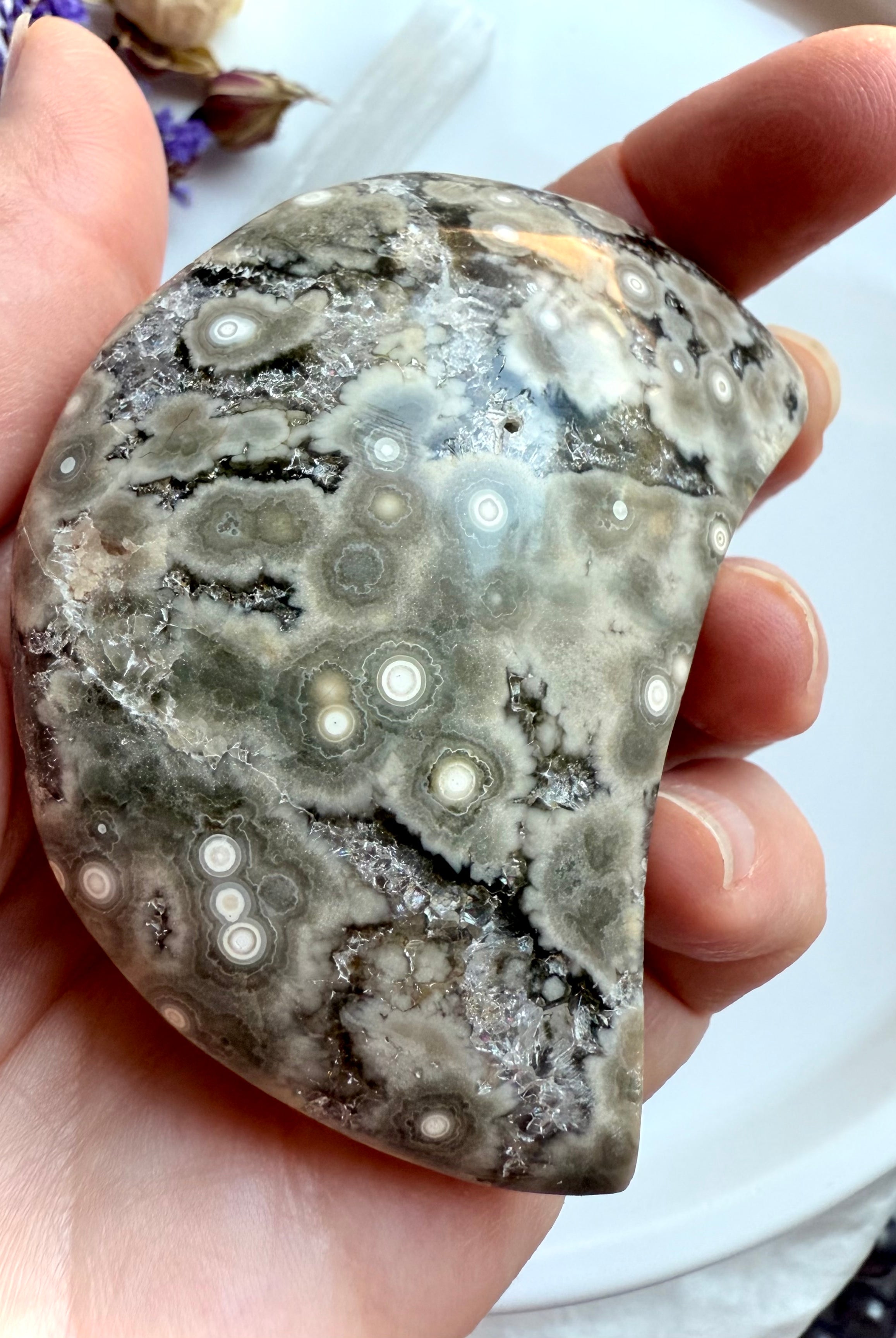Crescent Ocean Jasper crystal moon from Madagascar with orbicular rings and druzy pocket shown in natural light