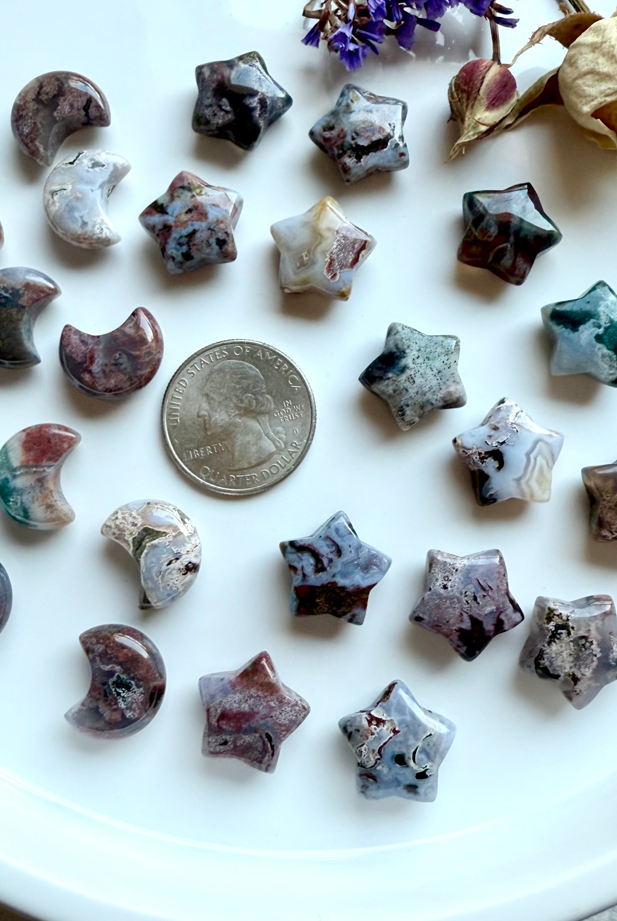 Close-up of mini Ocean Jasper moons and stars with a quarter for size reference