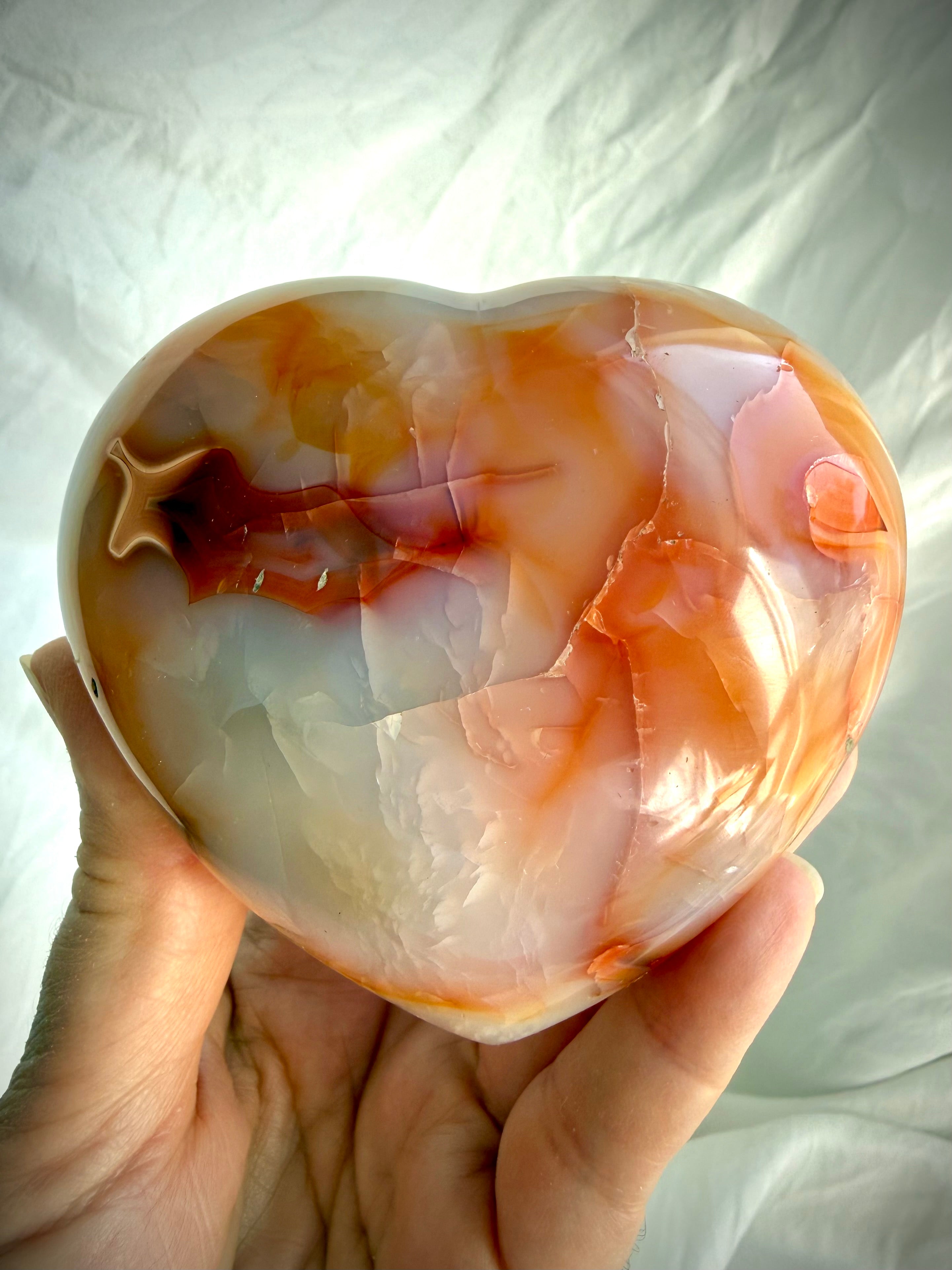Carnelian heart crystal held in hand with vibrant orange banding and glossy polished finish for size reference
