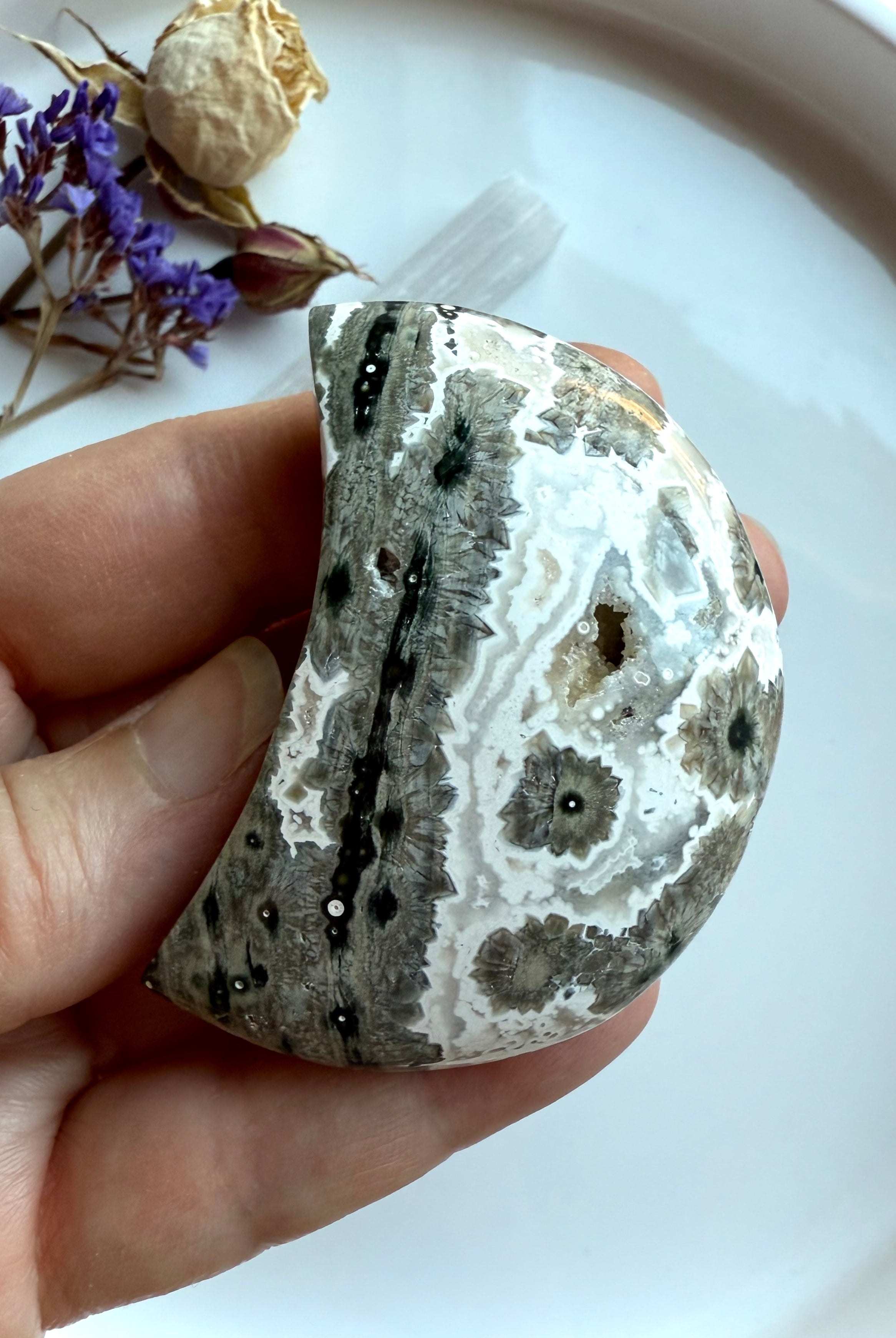 Gray and black Ocean Jasper moon with orbicular starburst markings, hand-carved healing crystal for grounding energy