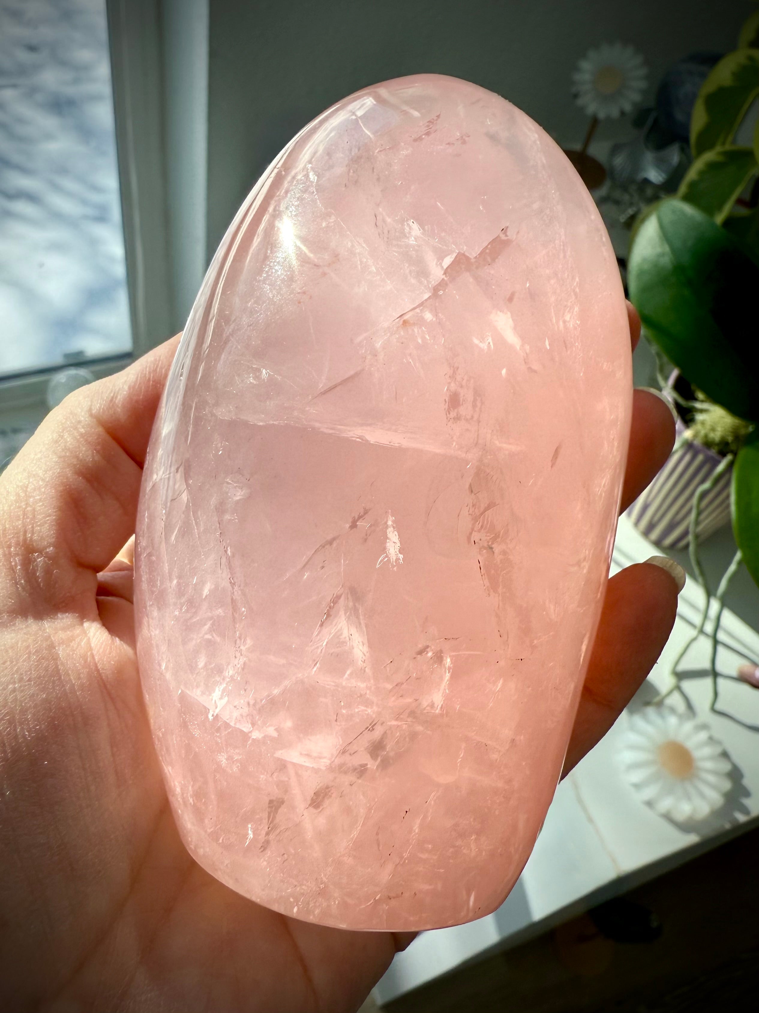Asteriated Rose Quartz Crystal from Madagascar with flashy rainbows + cats eye asterism in the light
