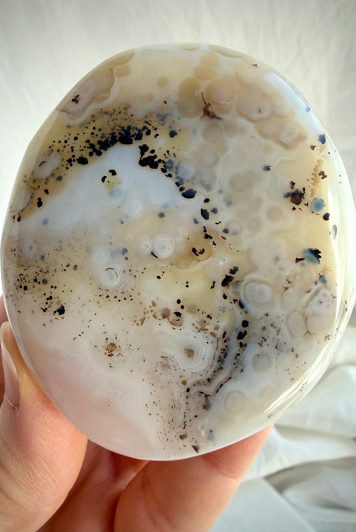 Close-up of Dendritic Agate freeform featuring intricate branching mineral formations and translucent ivory Agate