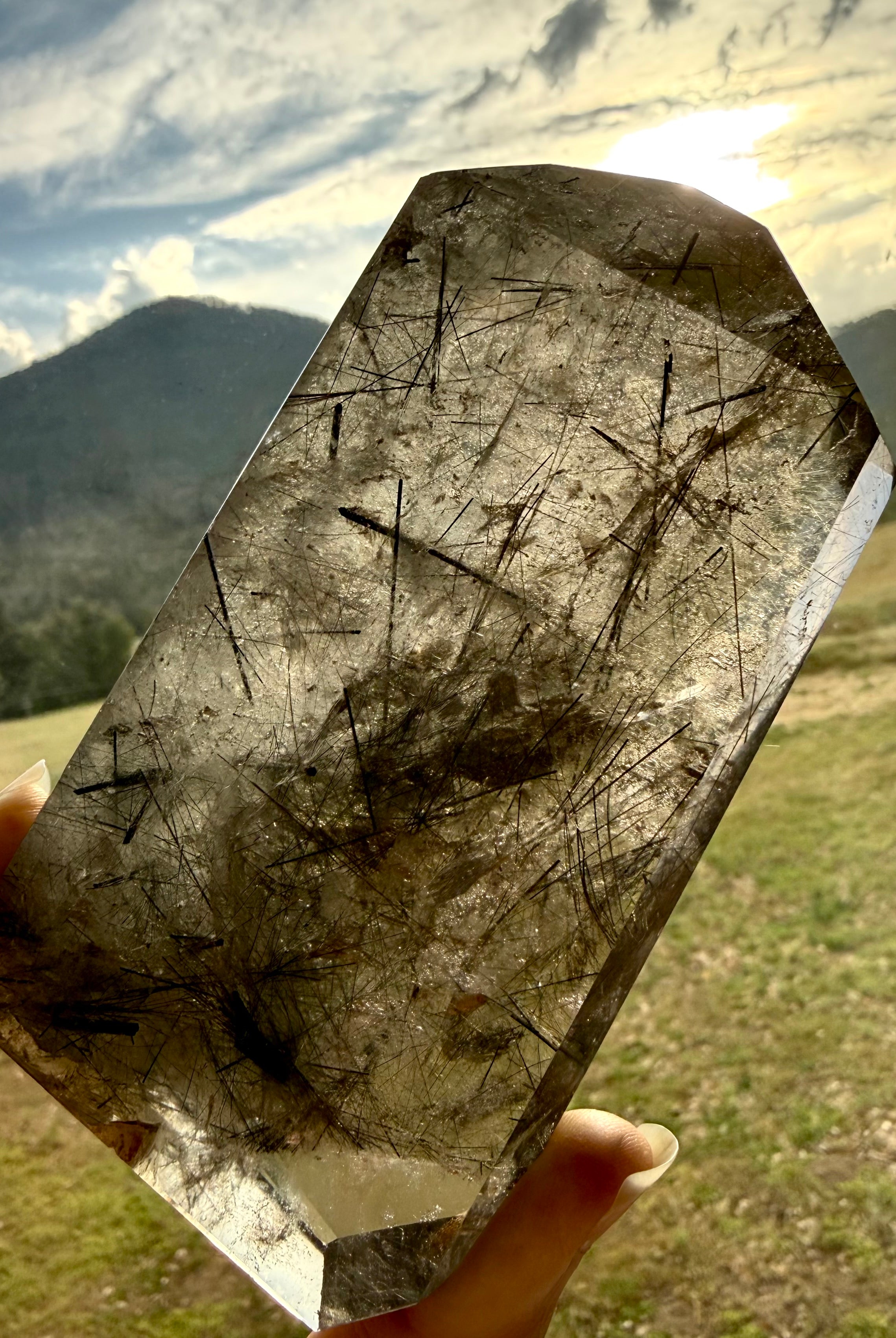 Collector quality Tourmalinated Quartz crystal specimen for grounding, protection, and sacred spaces