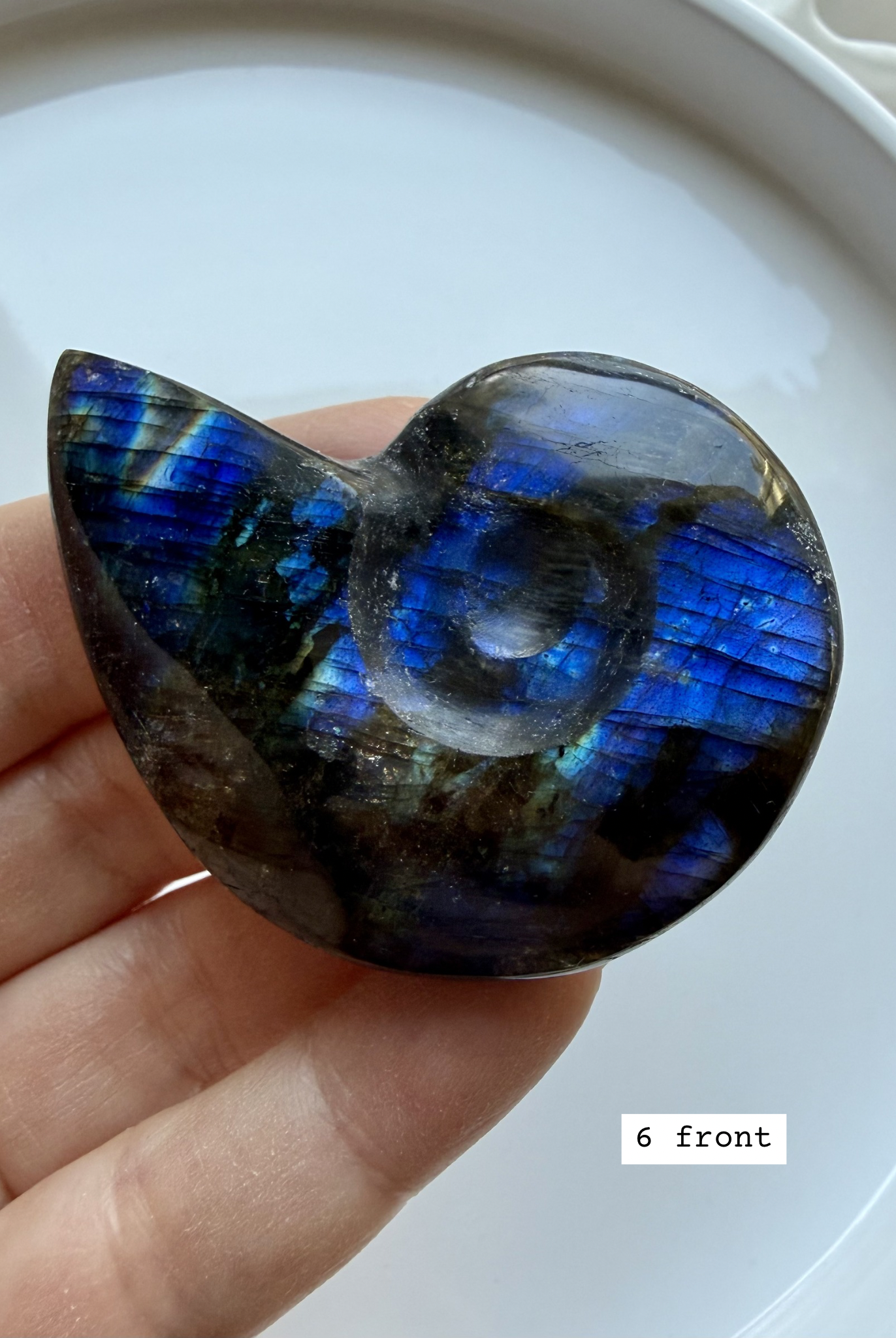 labradorite shell carving # 6 front view, vivid blue flash spiral crystal shell for third eye chakra