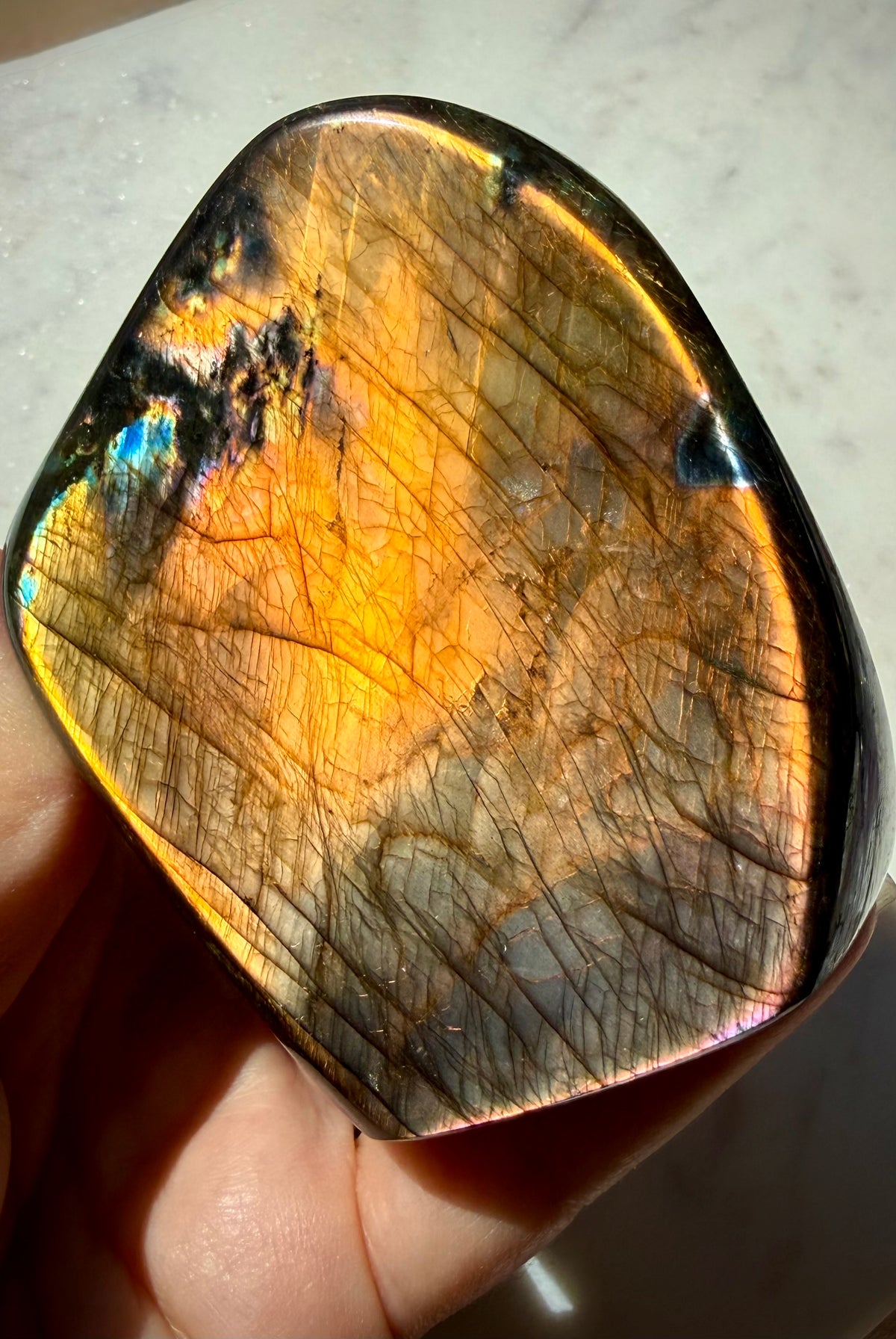 Orange Flash Labradorite freeform held in hand showing its polished shape and natural dark patterning