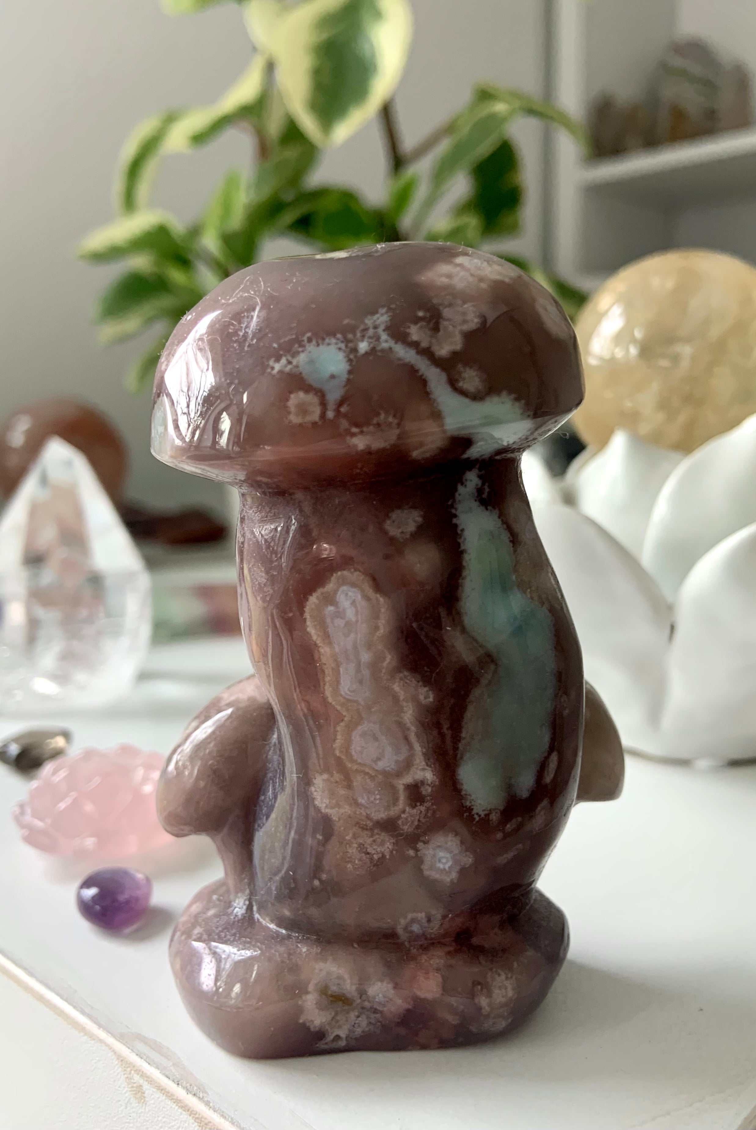 Black Flower Agate Mushroom Carving shown within a crystal collection and a plant behind it
