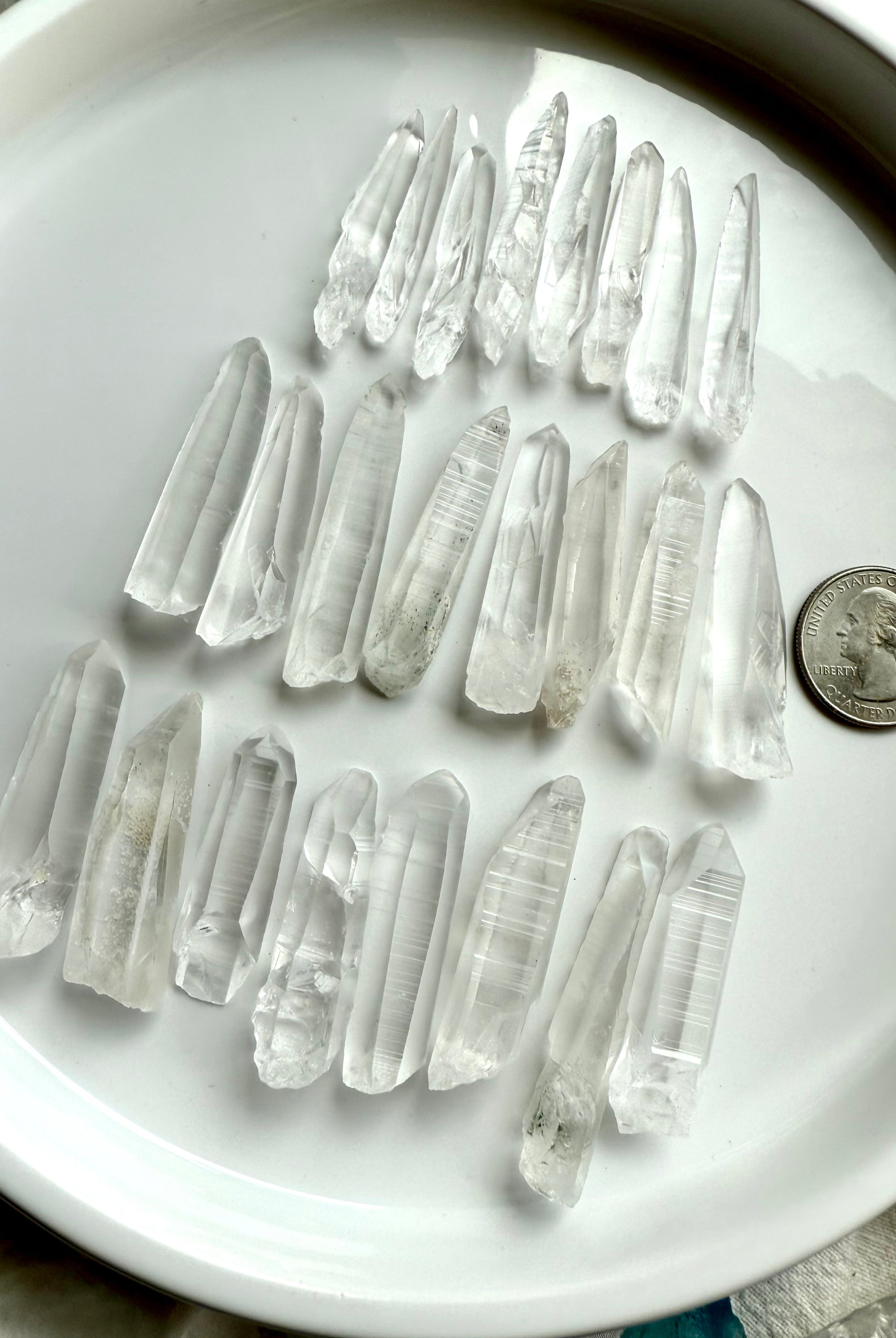 Three rows of Lemurian Seed Quartz Points with a quarter for scale — raw, high-vibe crystals for clarity, intuition & soul-level activation.