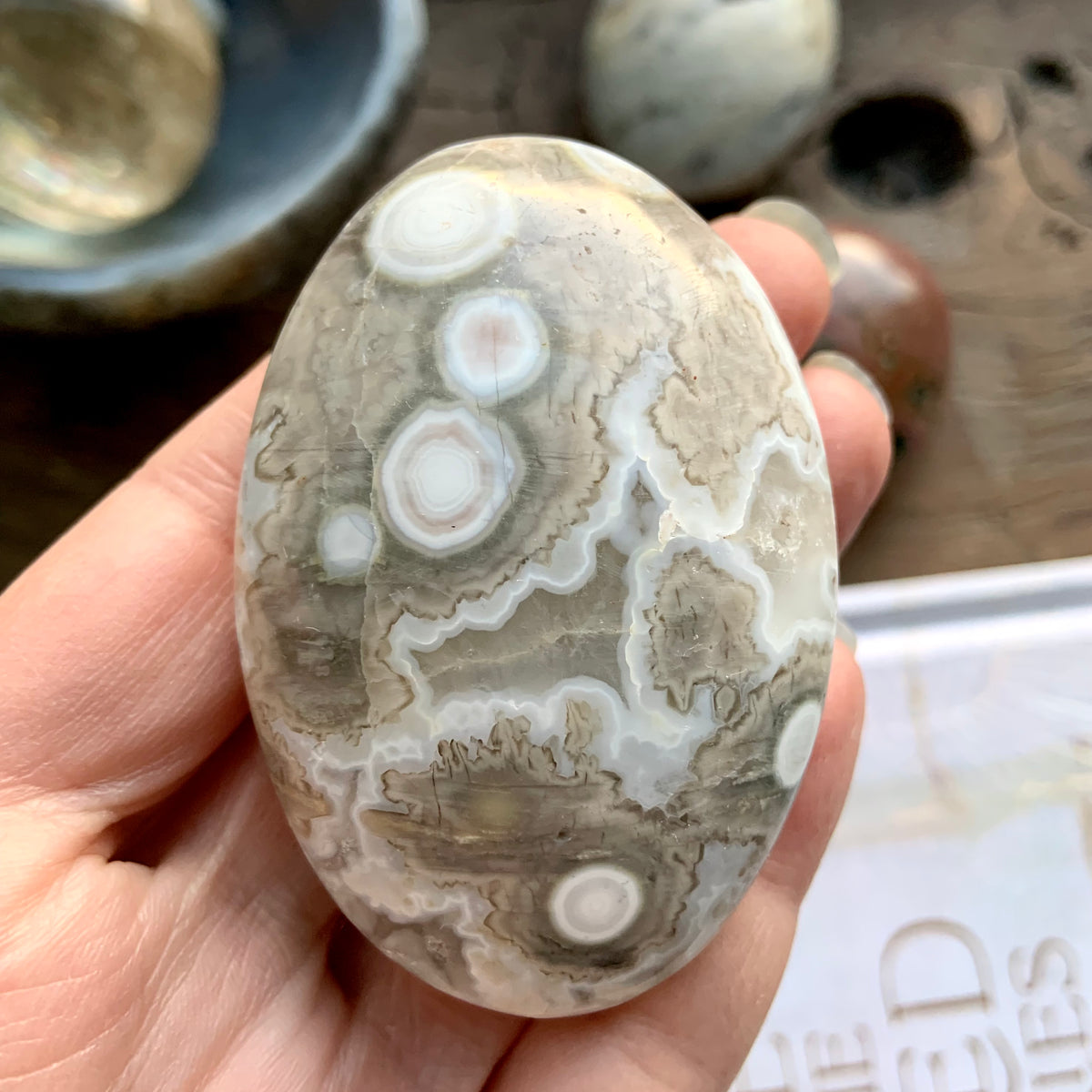 8th Vein Orbicular Ocean Jasper Palm Stone