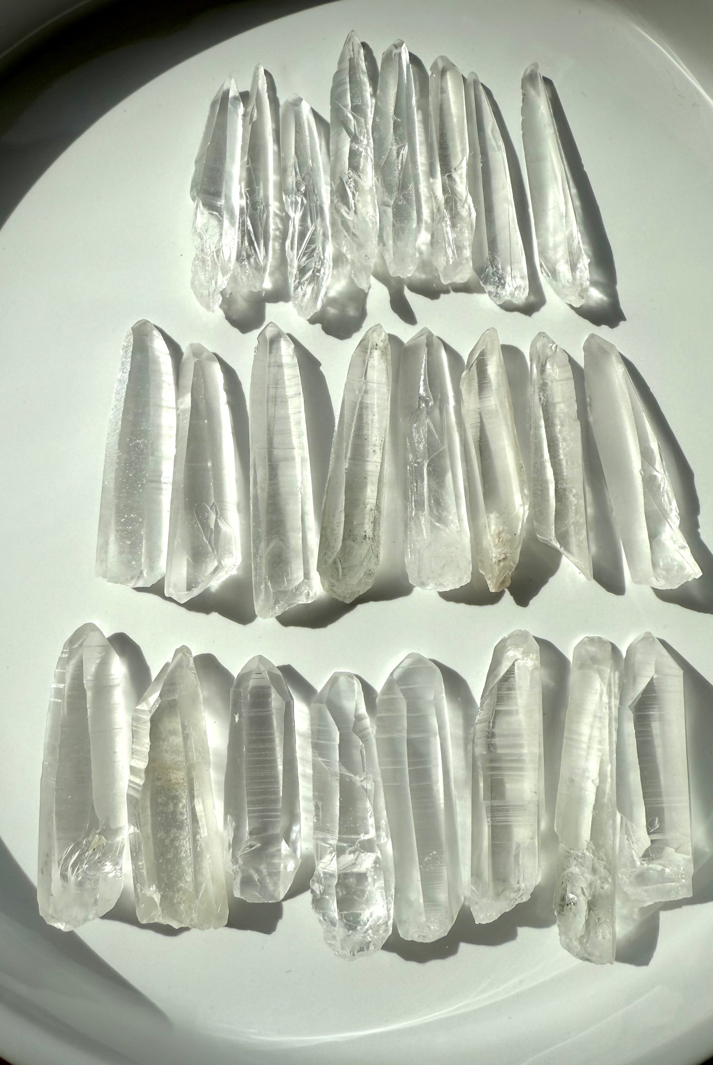 Lemurian Seed Quartz points in various sizes on a white plate — high-vibe crystals for clarity, intuition & soul-level healing.