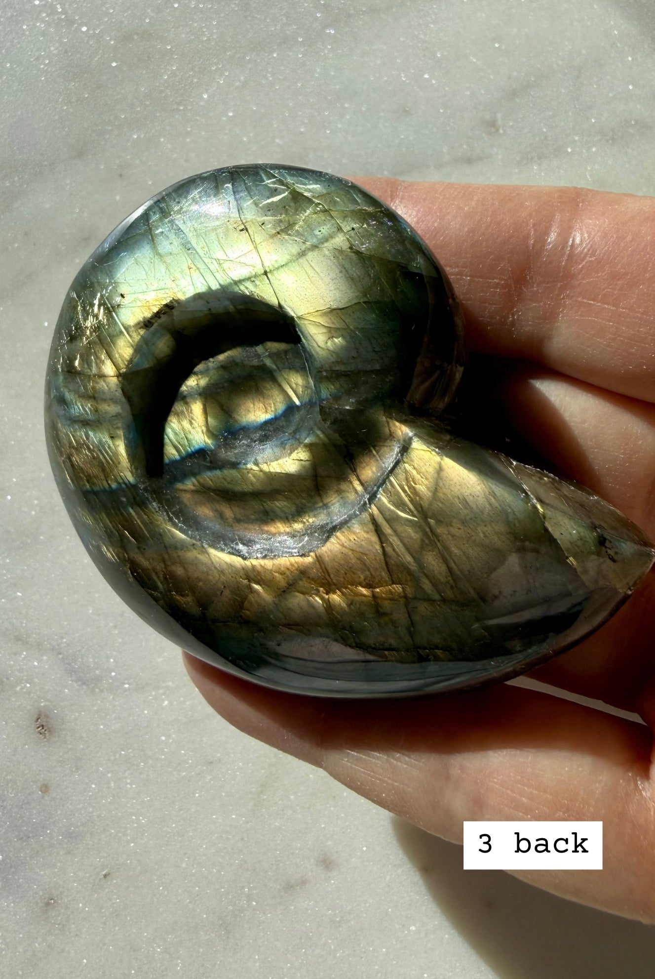 labradorite shell carving # 3 back view, labradorite crystal ammonite with natural pattern