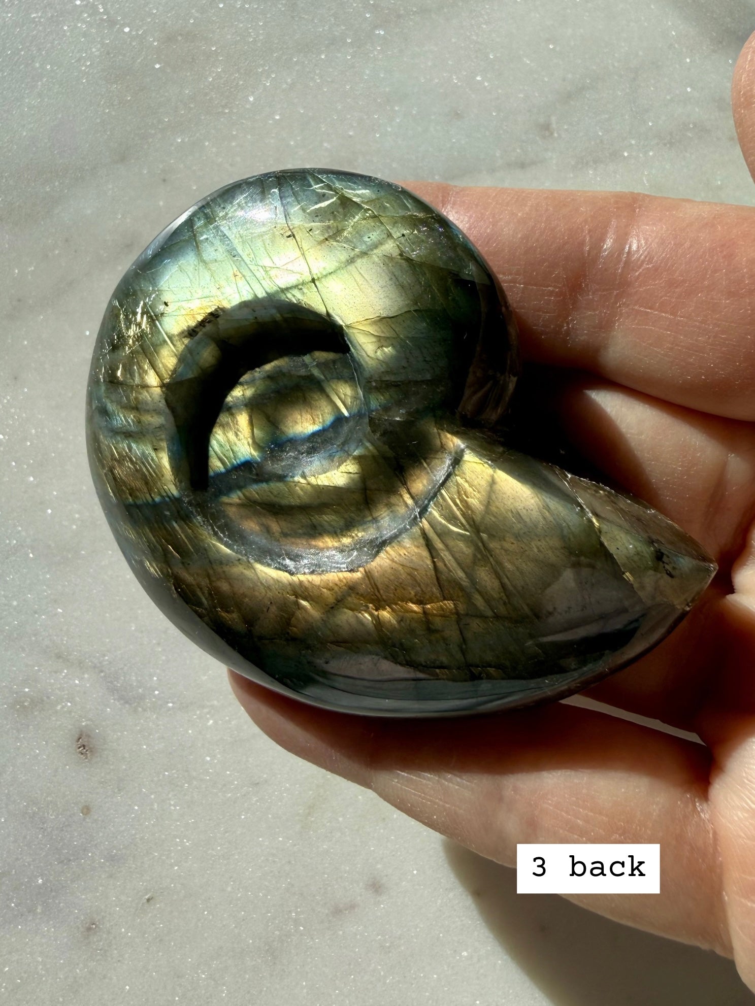 labradorite shell carving # 3 back view, labradorite crystal ammonite with natural pattern