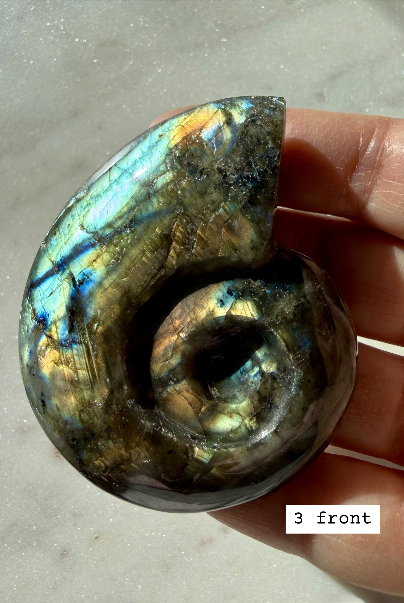 flashy labradorite shell carving, spiral crystal shell, choose your piece