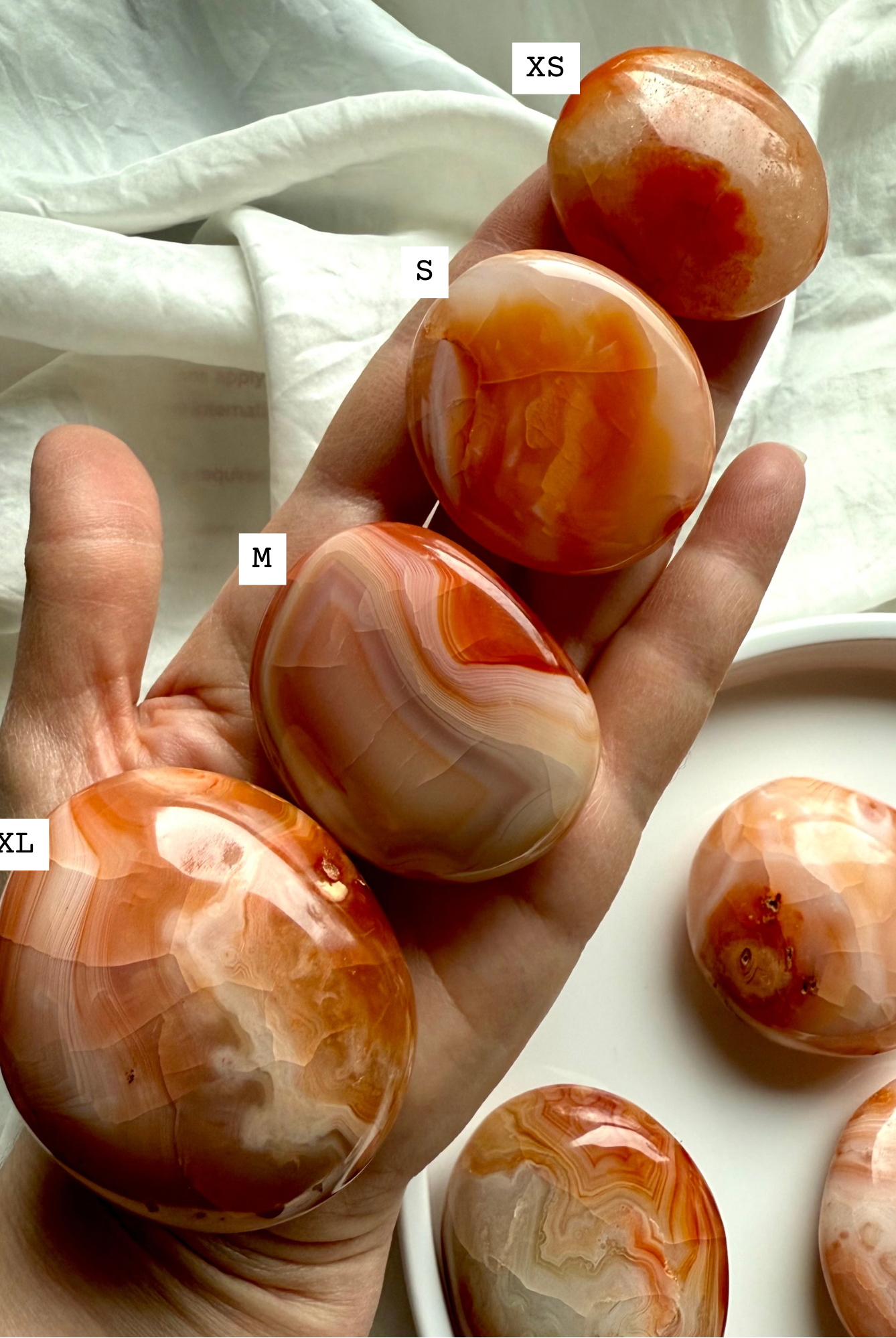 Hand holding four polished Carnelian palm stones labeled XS, S, M, and XL, showing size variations of vibrant orange and red banded agate crystals for grounding, energy, and Sacral Chakra healing.