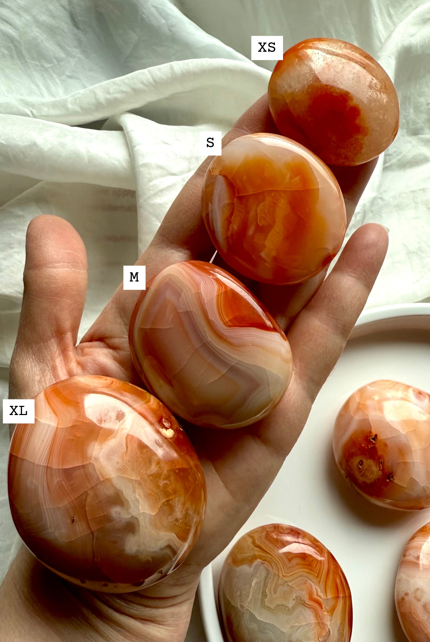 Hand holding four polished Carnelian palm stones labeled XS, S, M, and XL, showing size variations of vibrant orange and red banded agate crystals for grounding, energy, and Sacral Chakra healing.