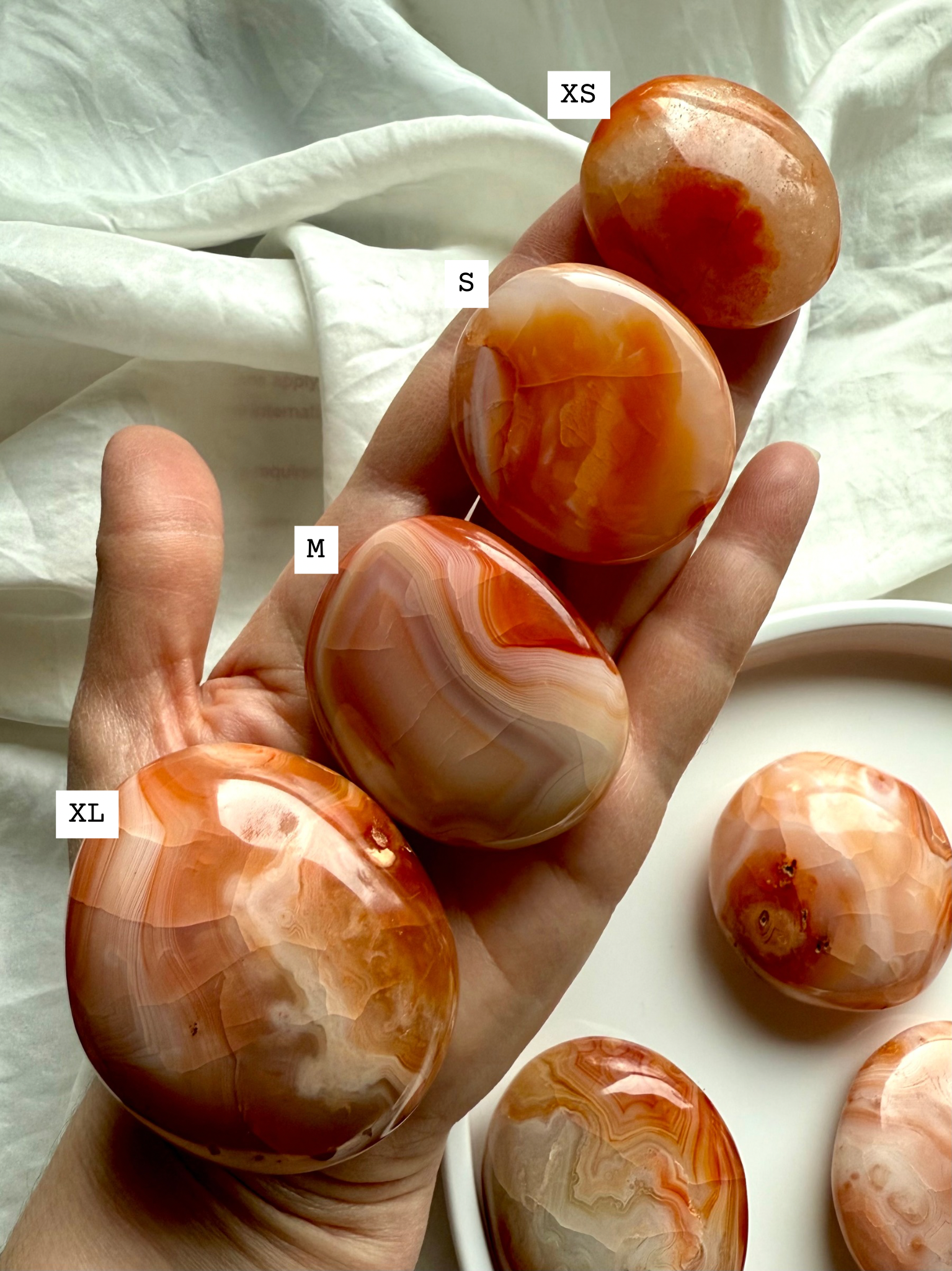 Hand holding four polished Carnelian palm stones labeled XS, S, M, and XL, showing size variations of vibrant orange and red banded agate crystals for grounding, energy, and Sacral Chakra healing.