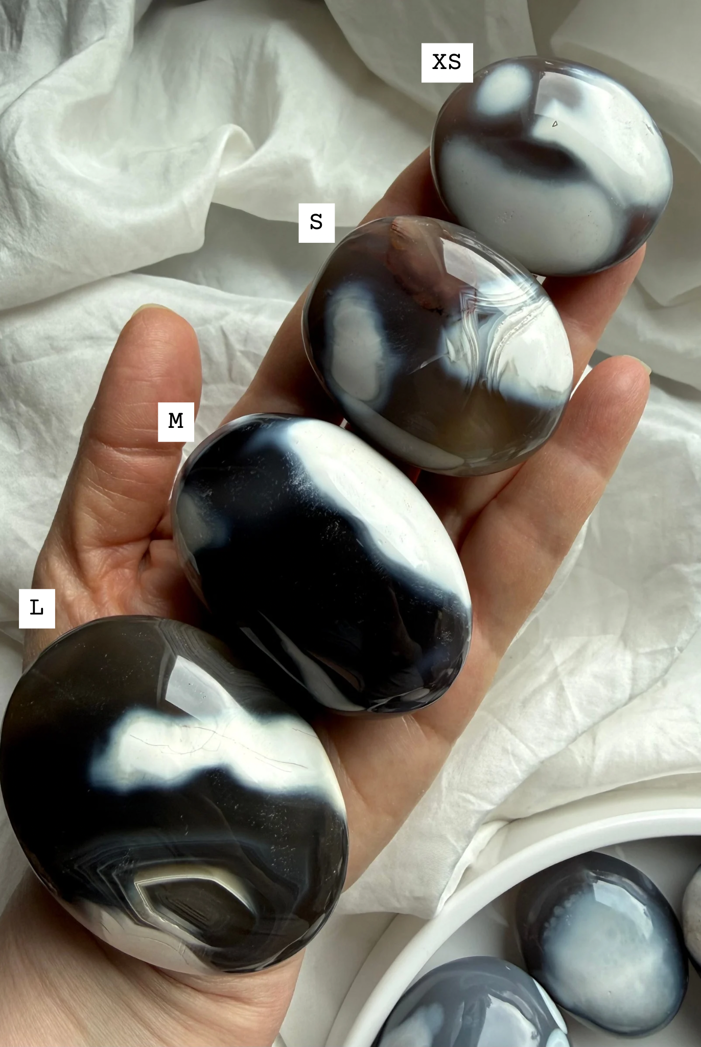 Orca Agate palm stones shown in multiple sizes from extra small to large, polished stones for calm and emotional support