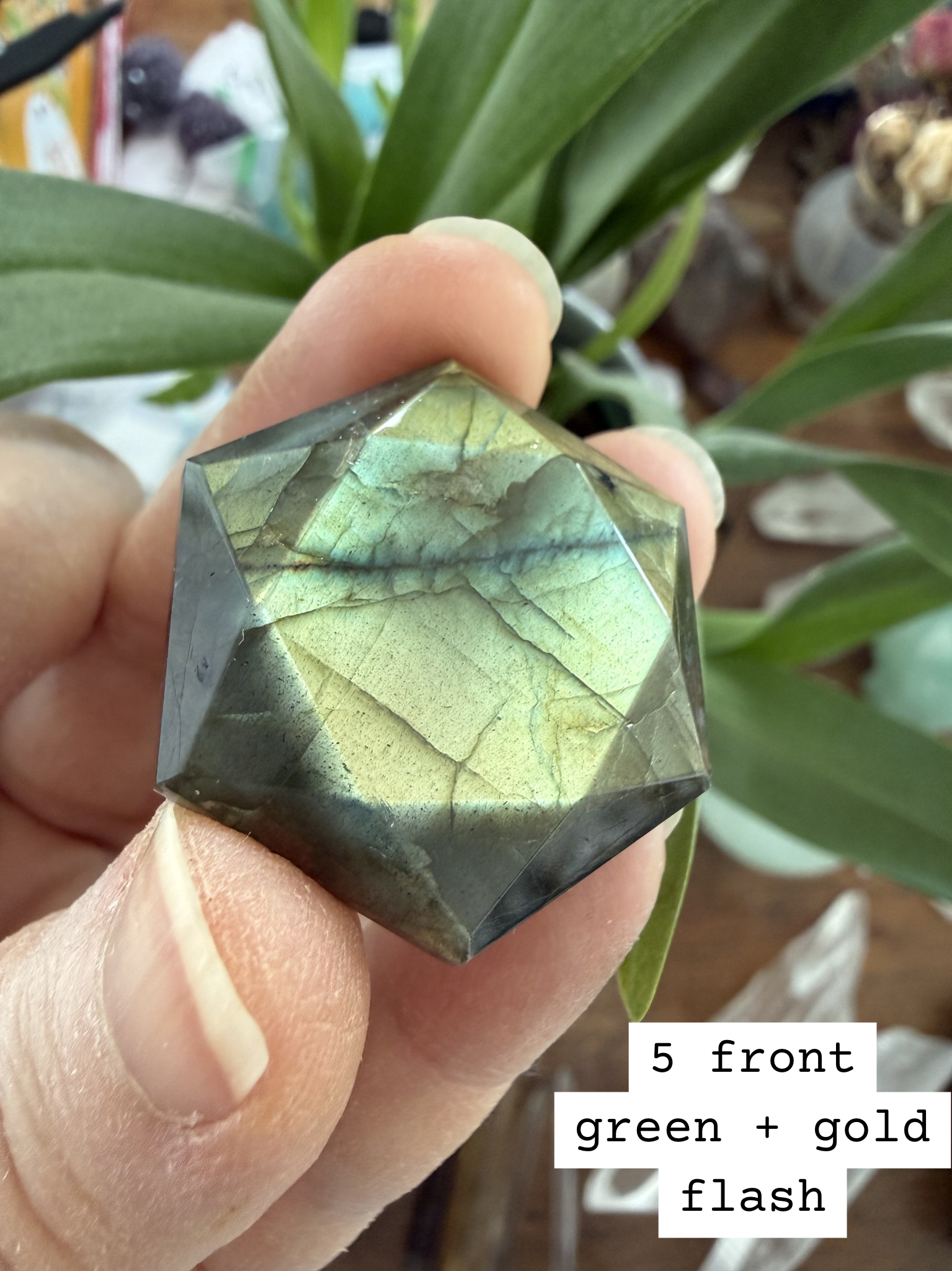 Faceted Labradorite hexagon crystal – Star of David sacred geometry for Third Eye Chakra, green labradorescence, front view