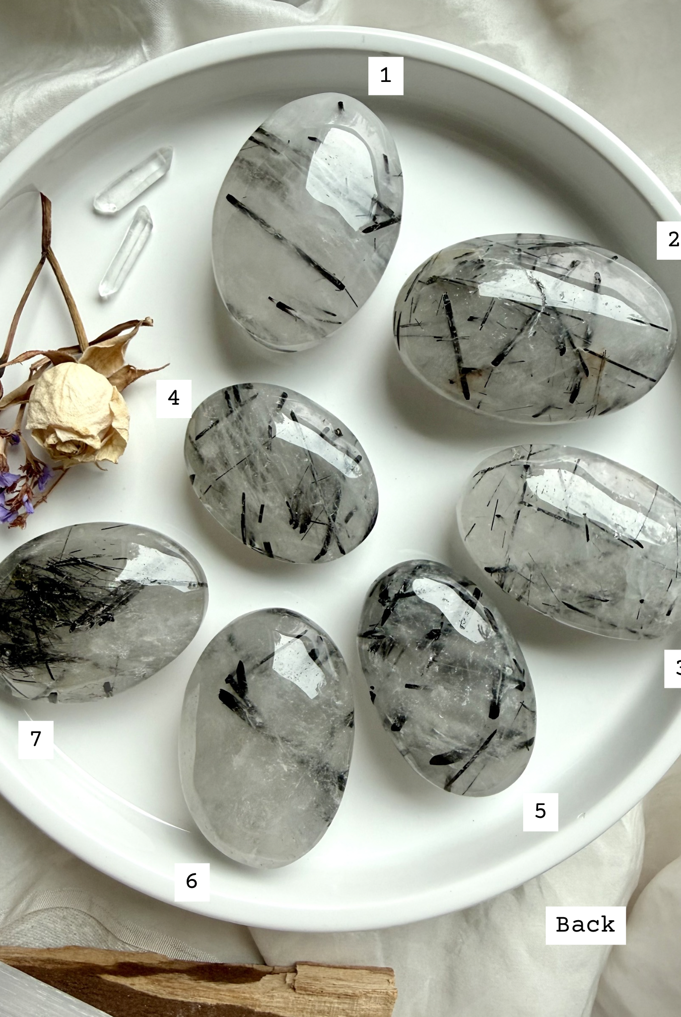 back view labeled Black Tourmaline in Quartz palm stones choose your own Tourmalinated Quartz crystals