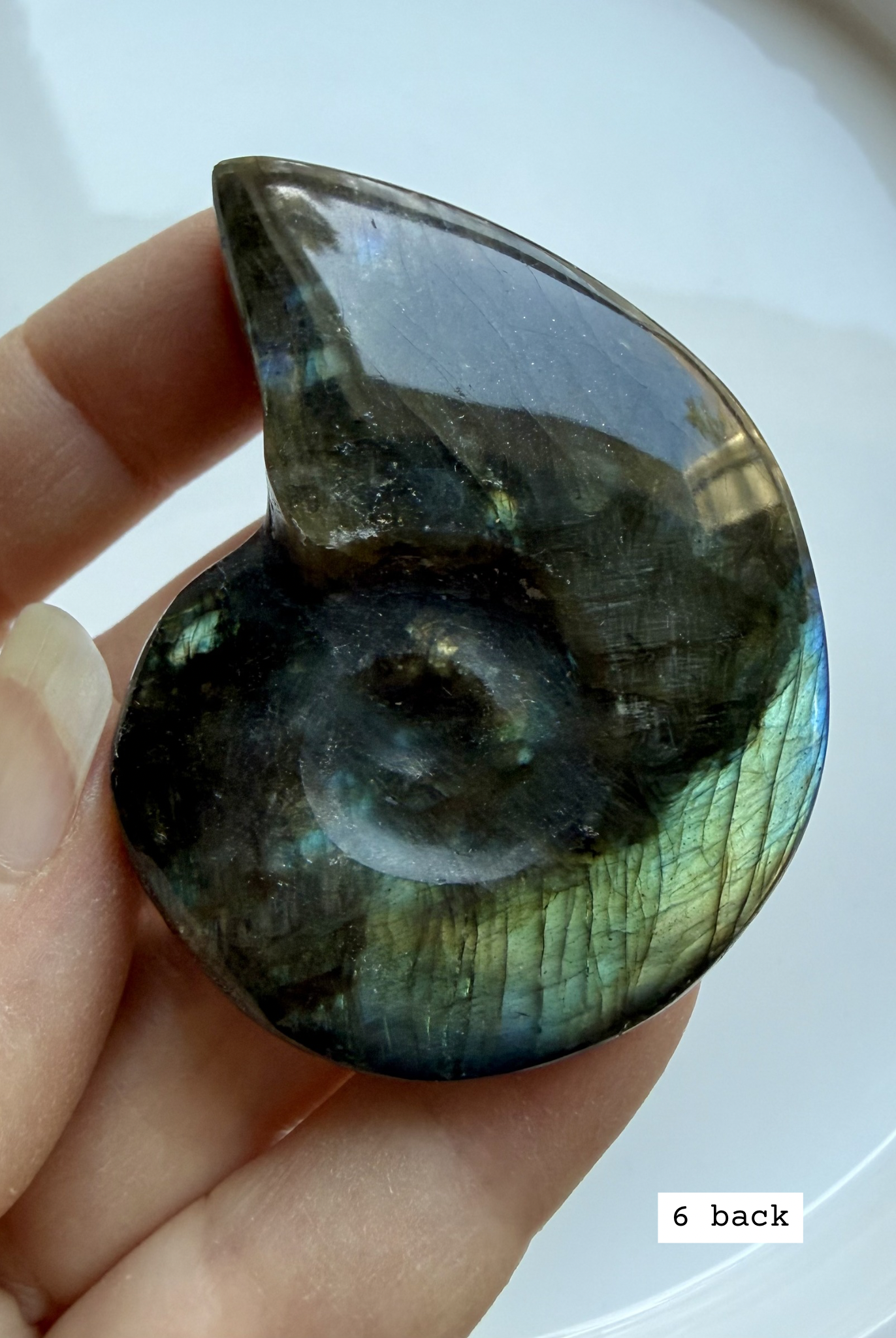 labradorite shell carving # 6 back view natural labradorite shell with subtle flash and patterning