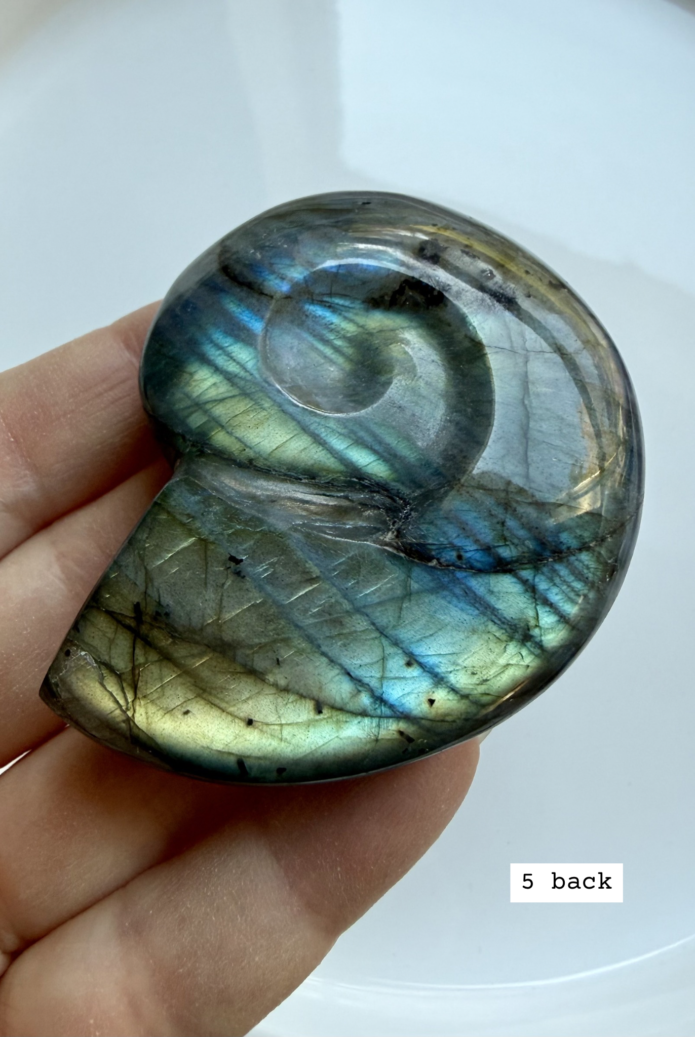 labradorite shell carving # 5 back view polished labradorite shell with natural stone pattern
