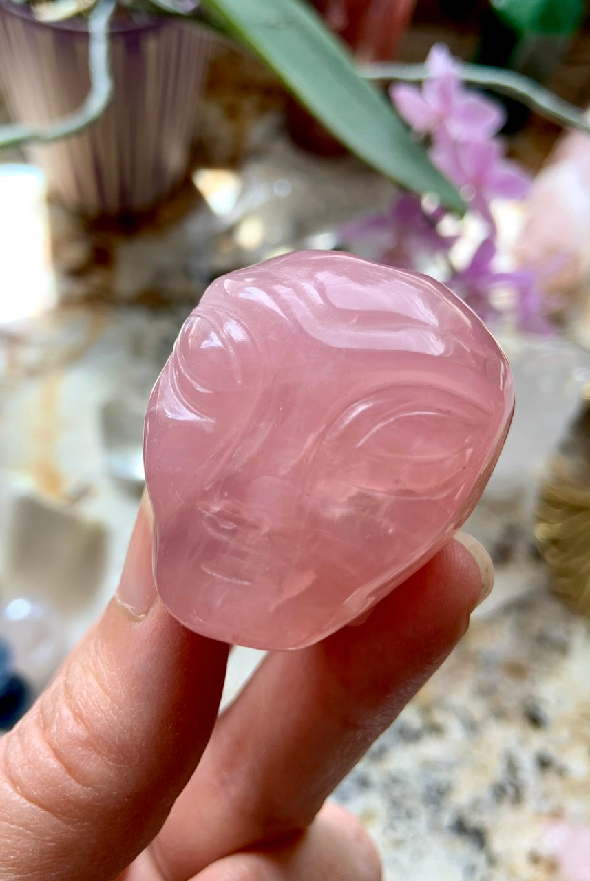 Polished Rose Quartz alien skull carving resting in palm, showing soft pink hues and intricate star being face detail