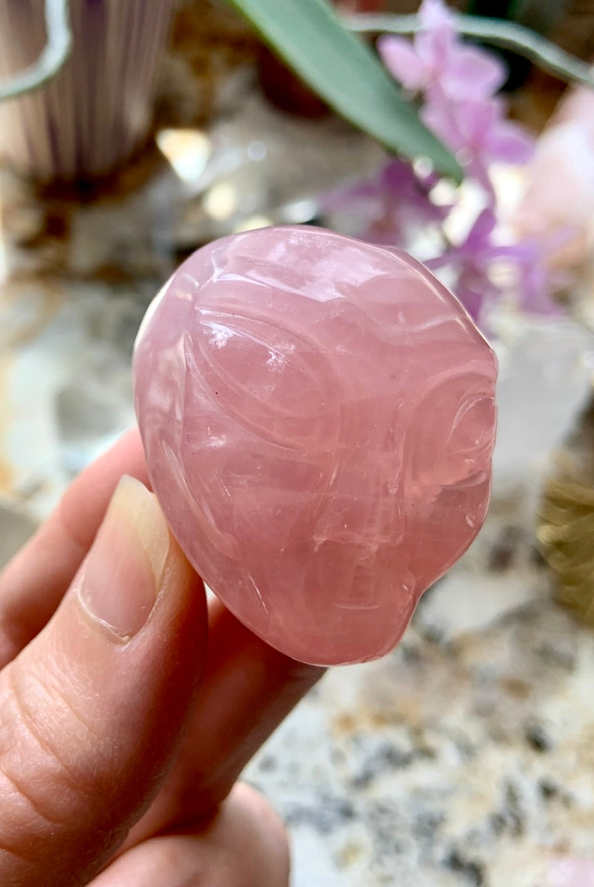 Close-up of one Rose Quartz alien head in hand, carved crystal skull with gentle pink color and galactic alien features