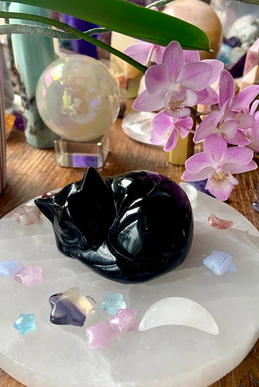 Side view of black obsidian sleeping cat carving resting on selenite plate with mini celestial crystals and blooming orchids overhead