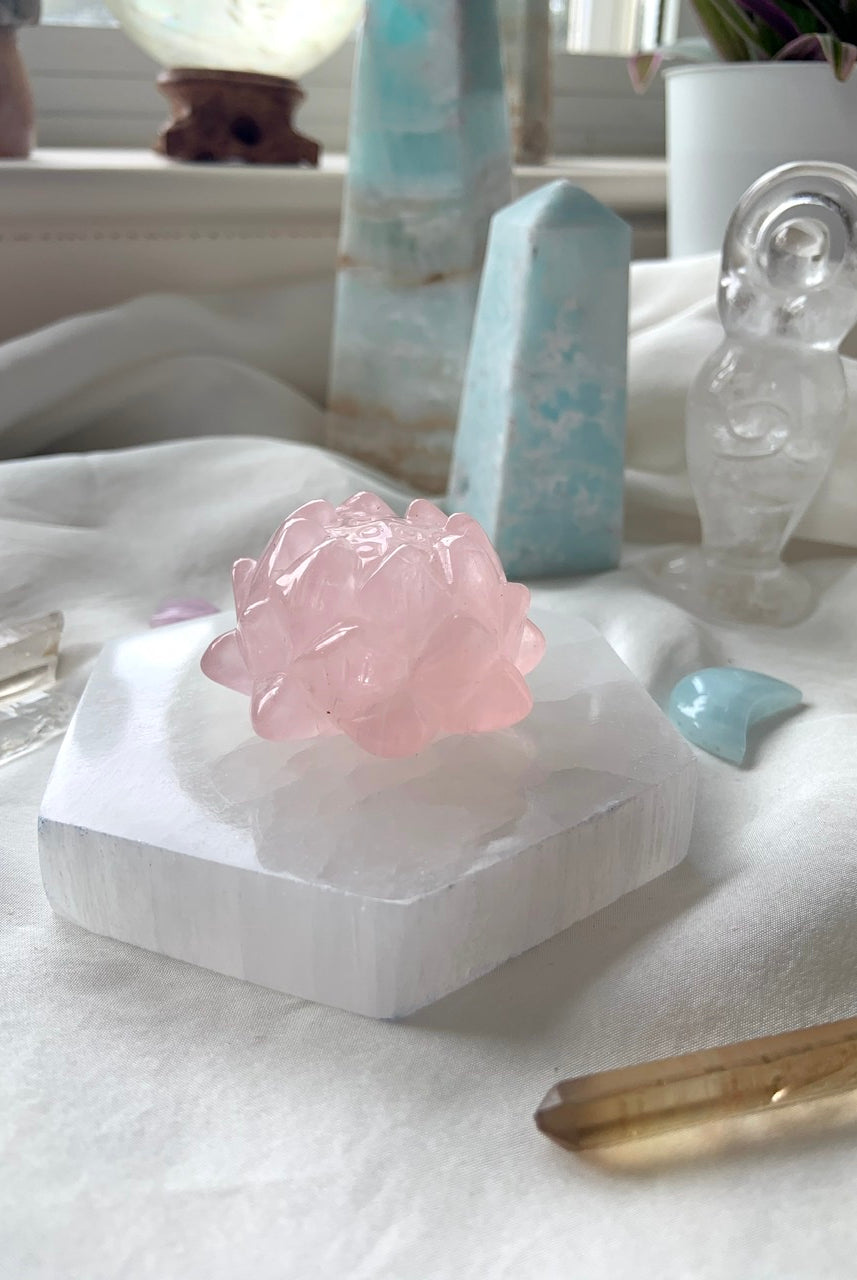 Side view of hexagon selenite plate with rose quartz lotus carving on top, styled with pastel crystal collection